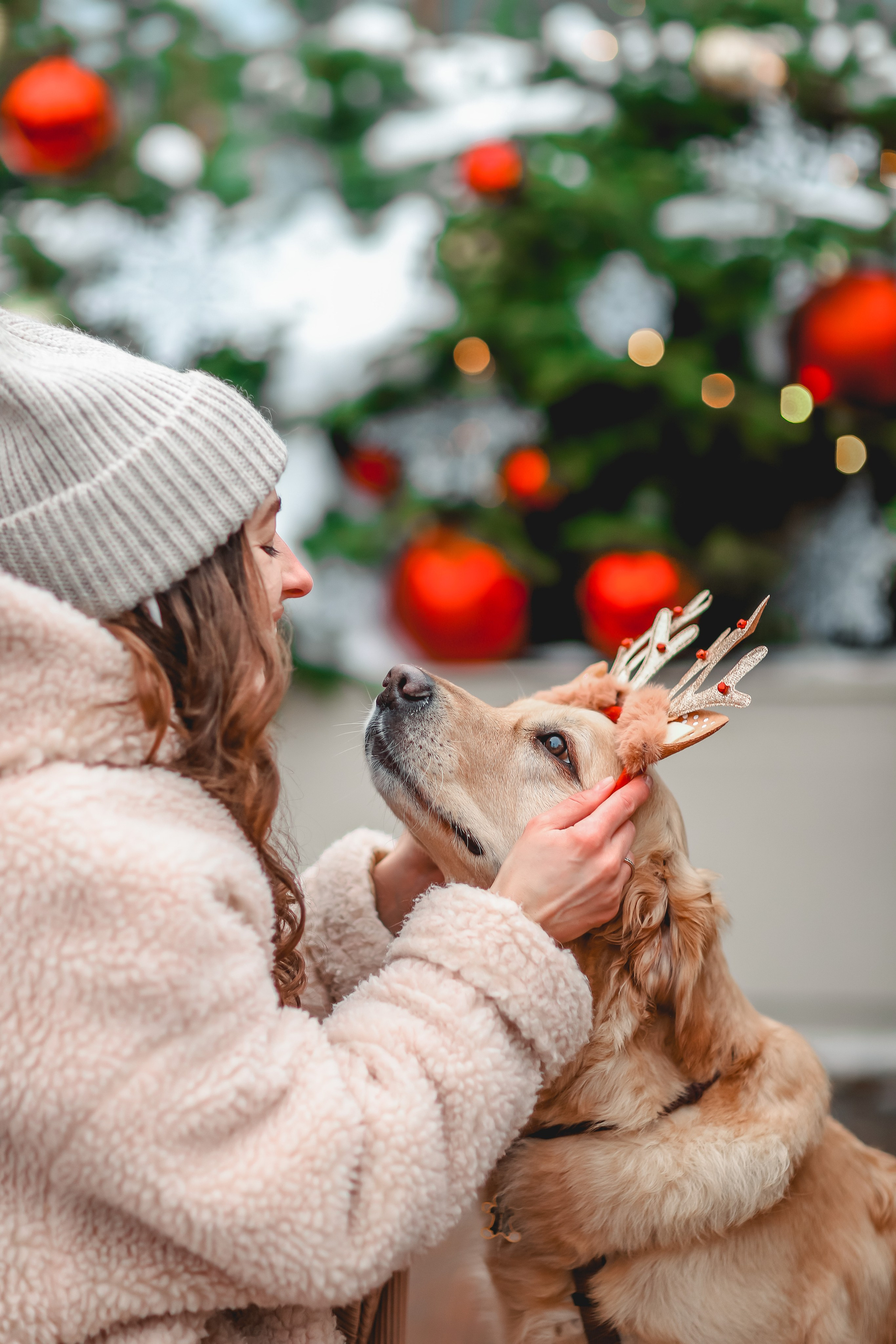 Марина и Чили. Семейный фотограф анималист Мария Крючкова