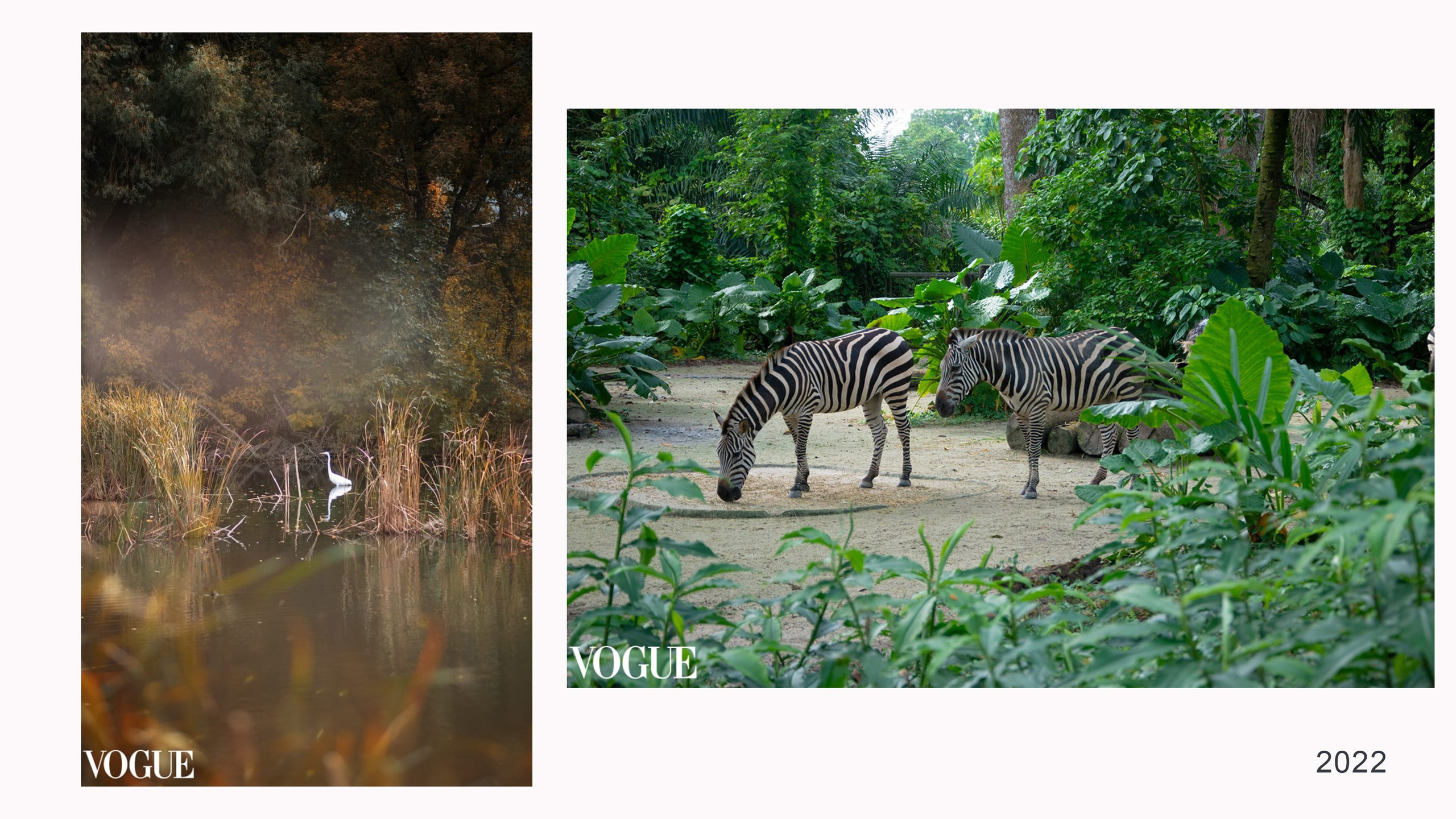 Фотограф Наталия Шляпина в Ростове-на-Дону