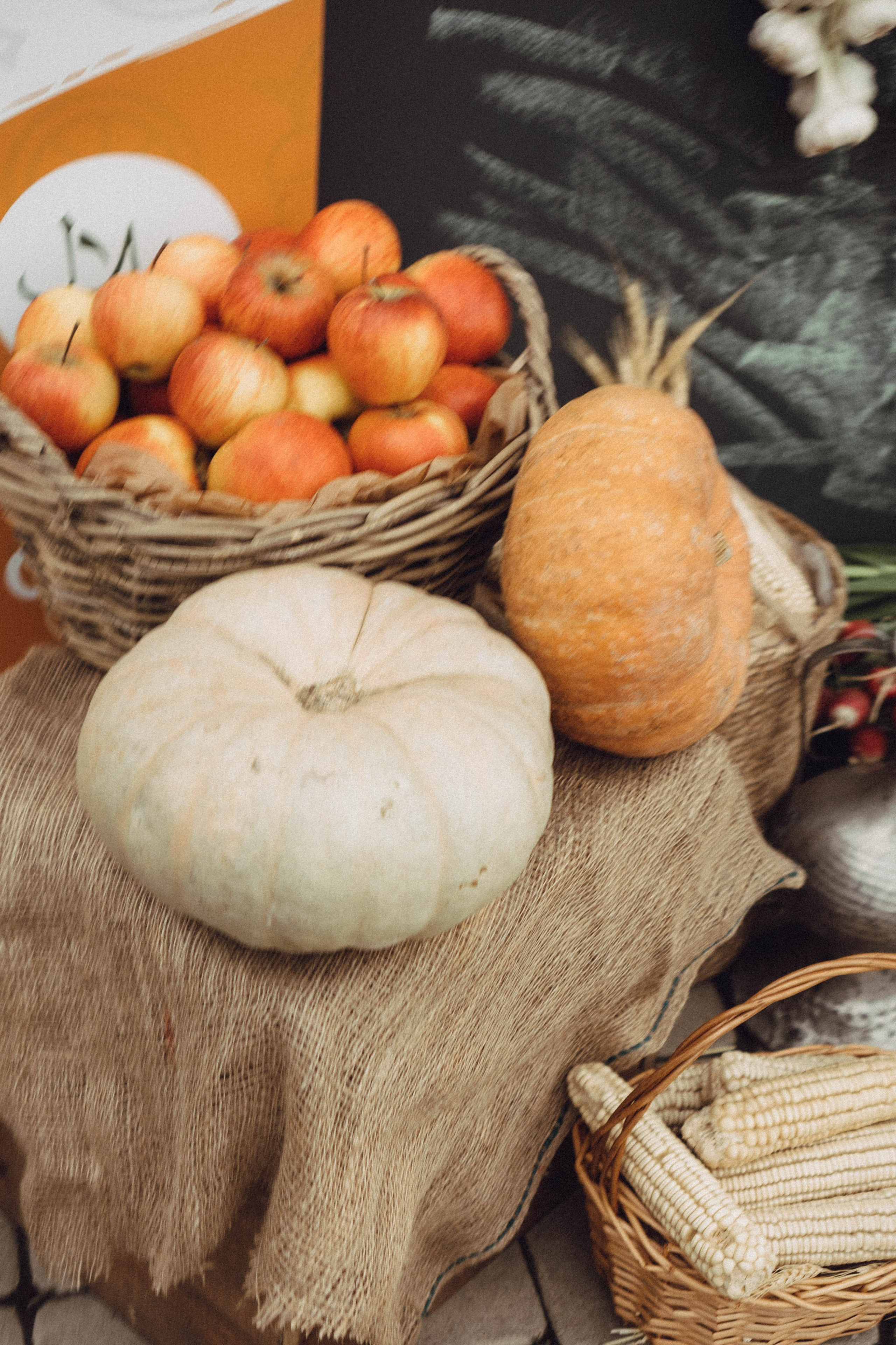 Кавказ. Профессиональный фотограф, Санкт-Петербург — Виктория Богомолова