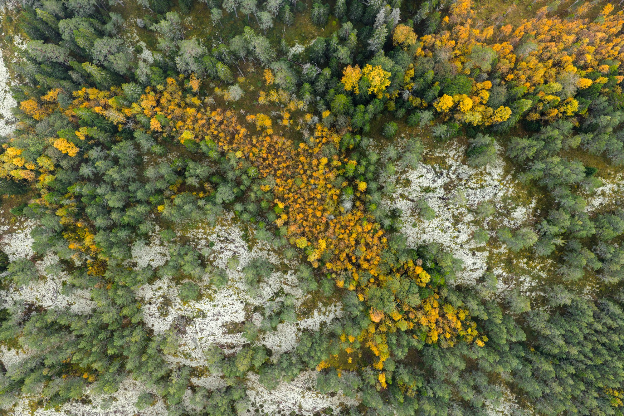 Остров Валаам. Архитектурный и пейзажный фотограф Кондратенко Руслан, Санкт-Петербург