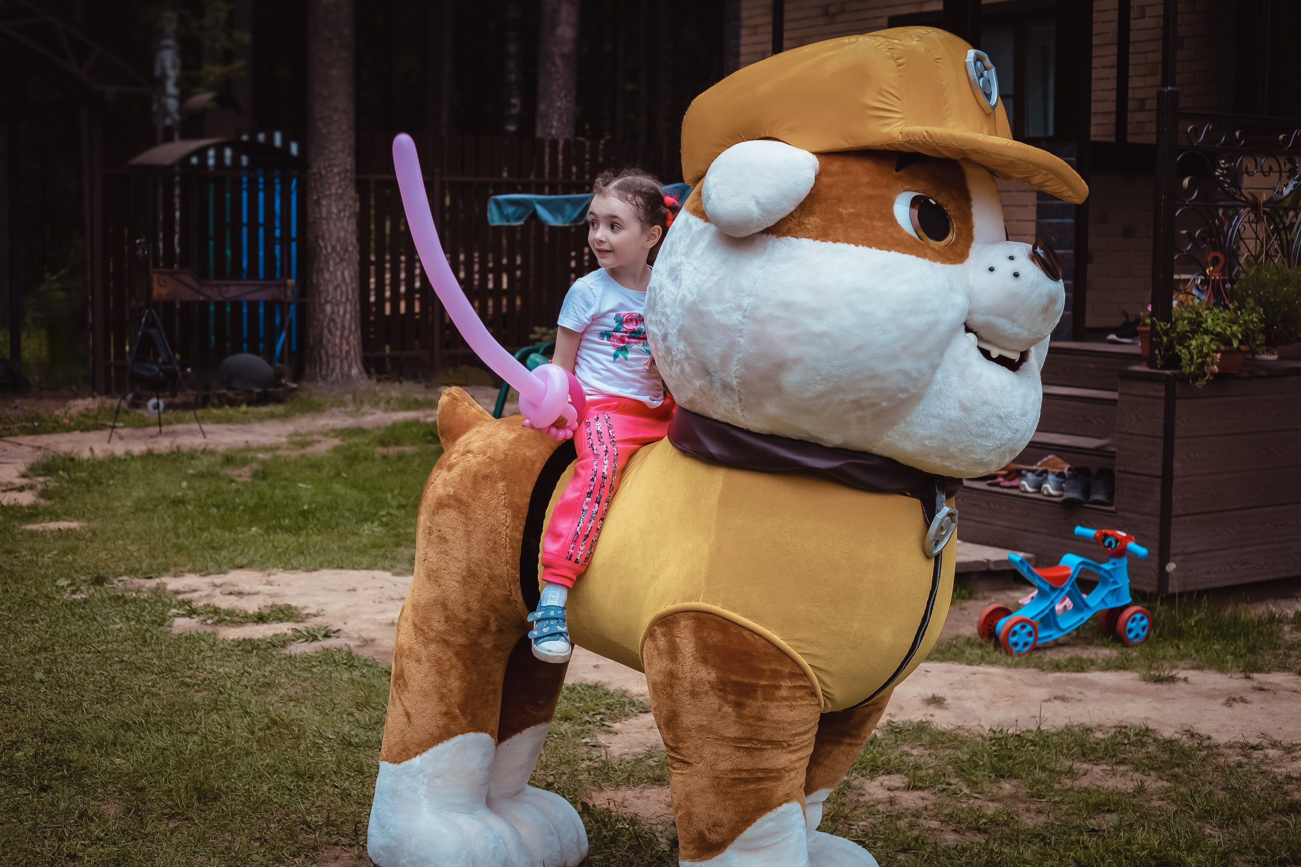 Портфолио фотографа