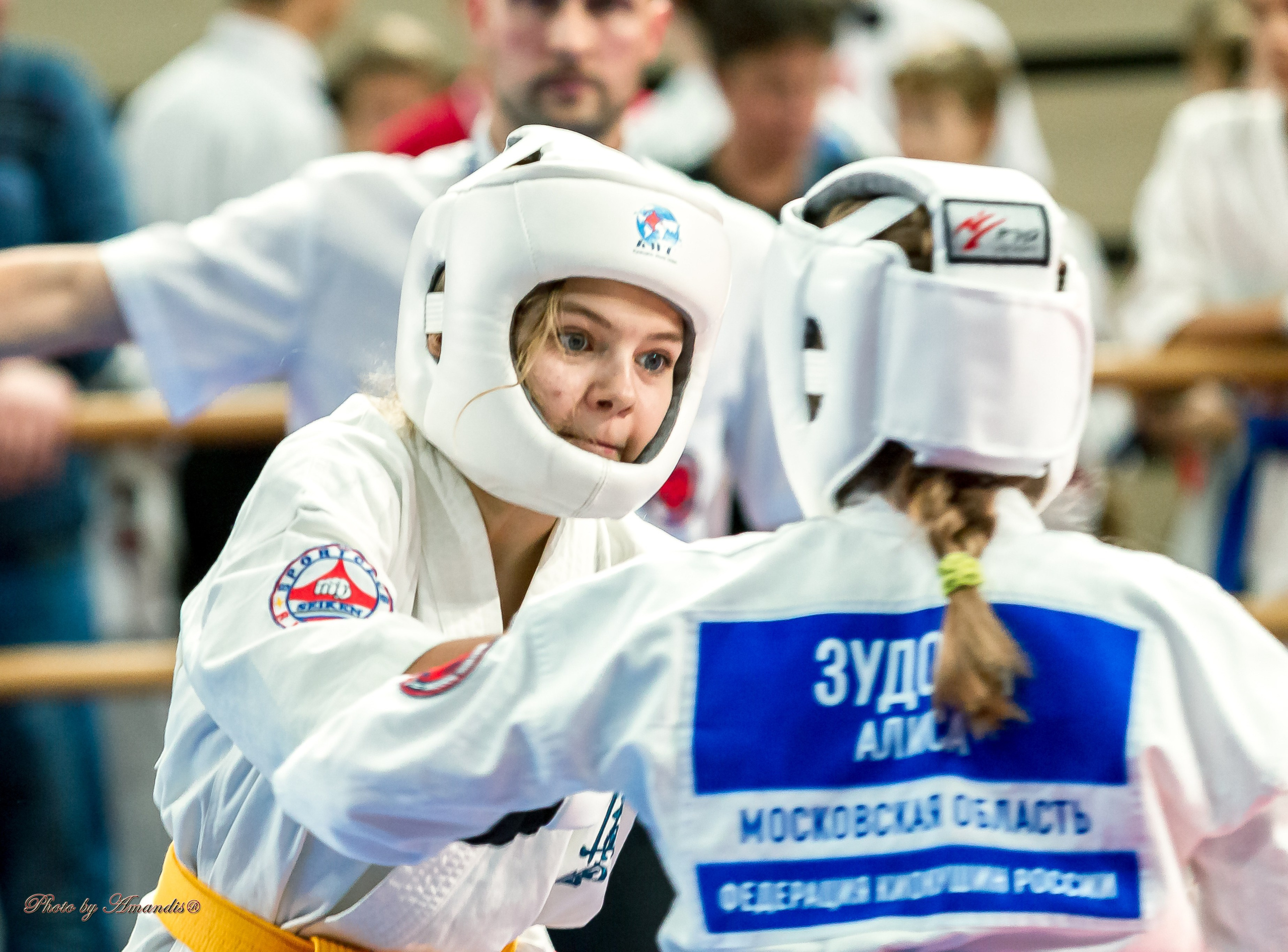 Первенство Московской области по Киокушин в СК «Жаворонки». Репортажная съемка в Москве и области. Анималистика