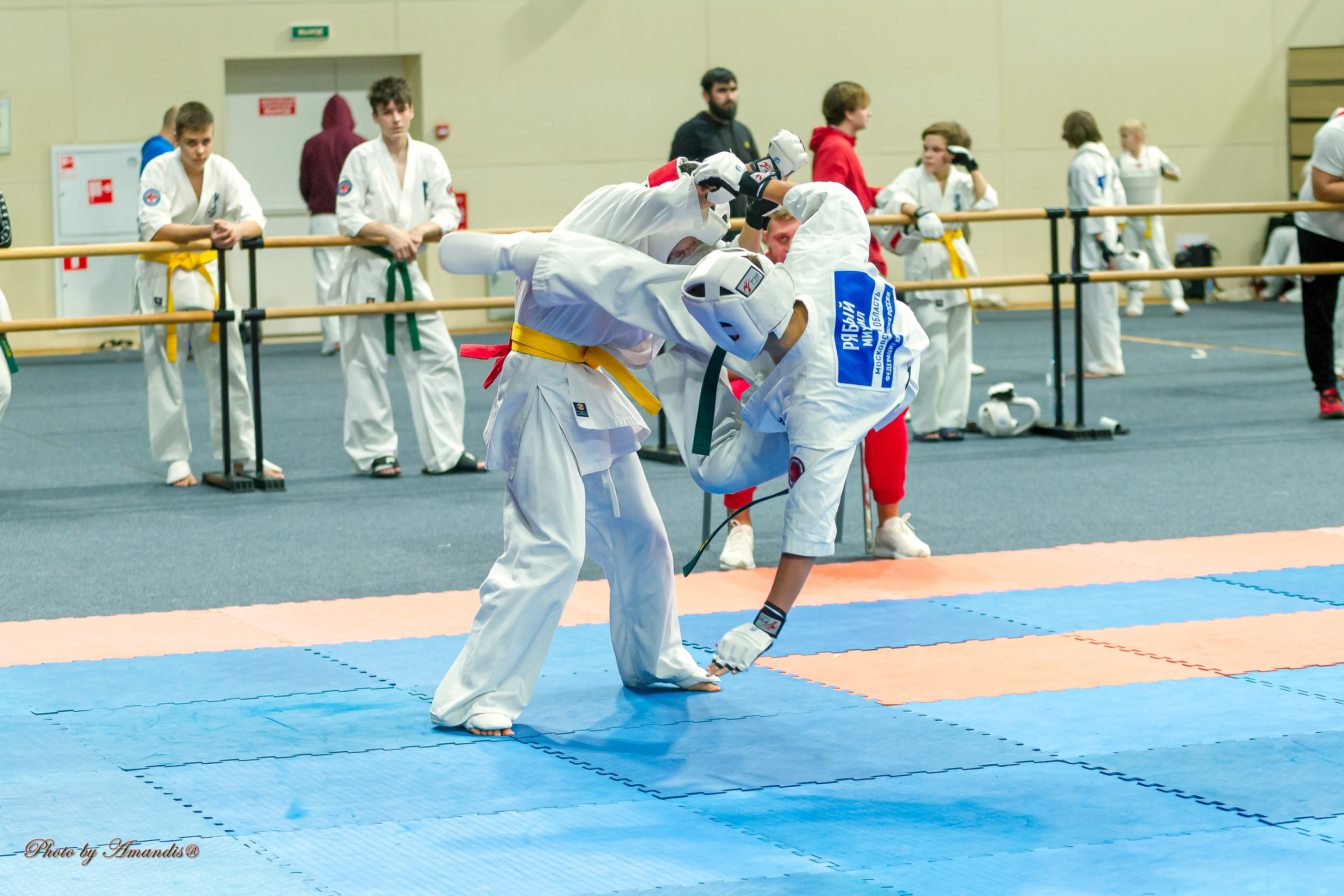 Первенство Московской области по Киокушин в СК «Жаворонки». Репортажная съемка в Москве и области. Анималистика