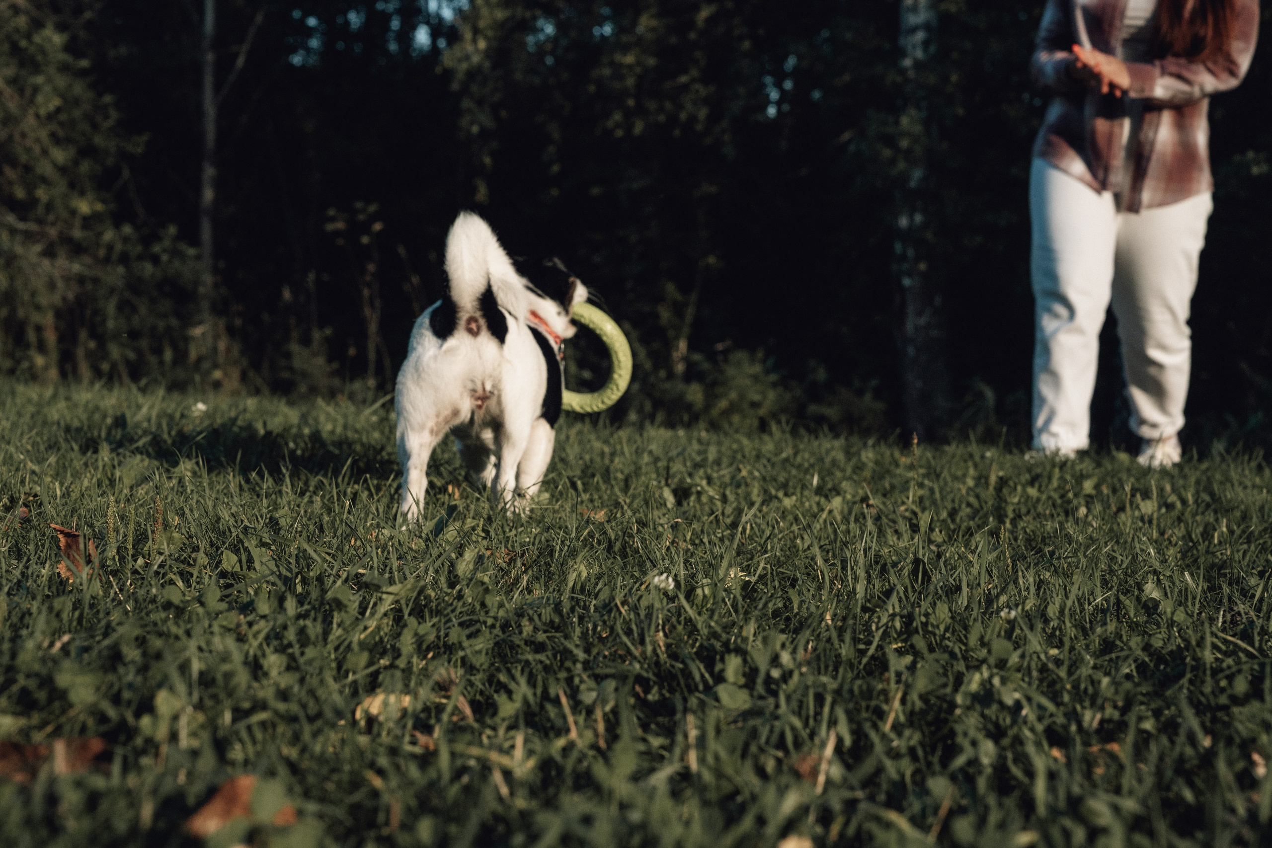 Аня и Луна. Фотограф и видеограф в Тюмени Екатерина Чернецкая