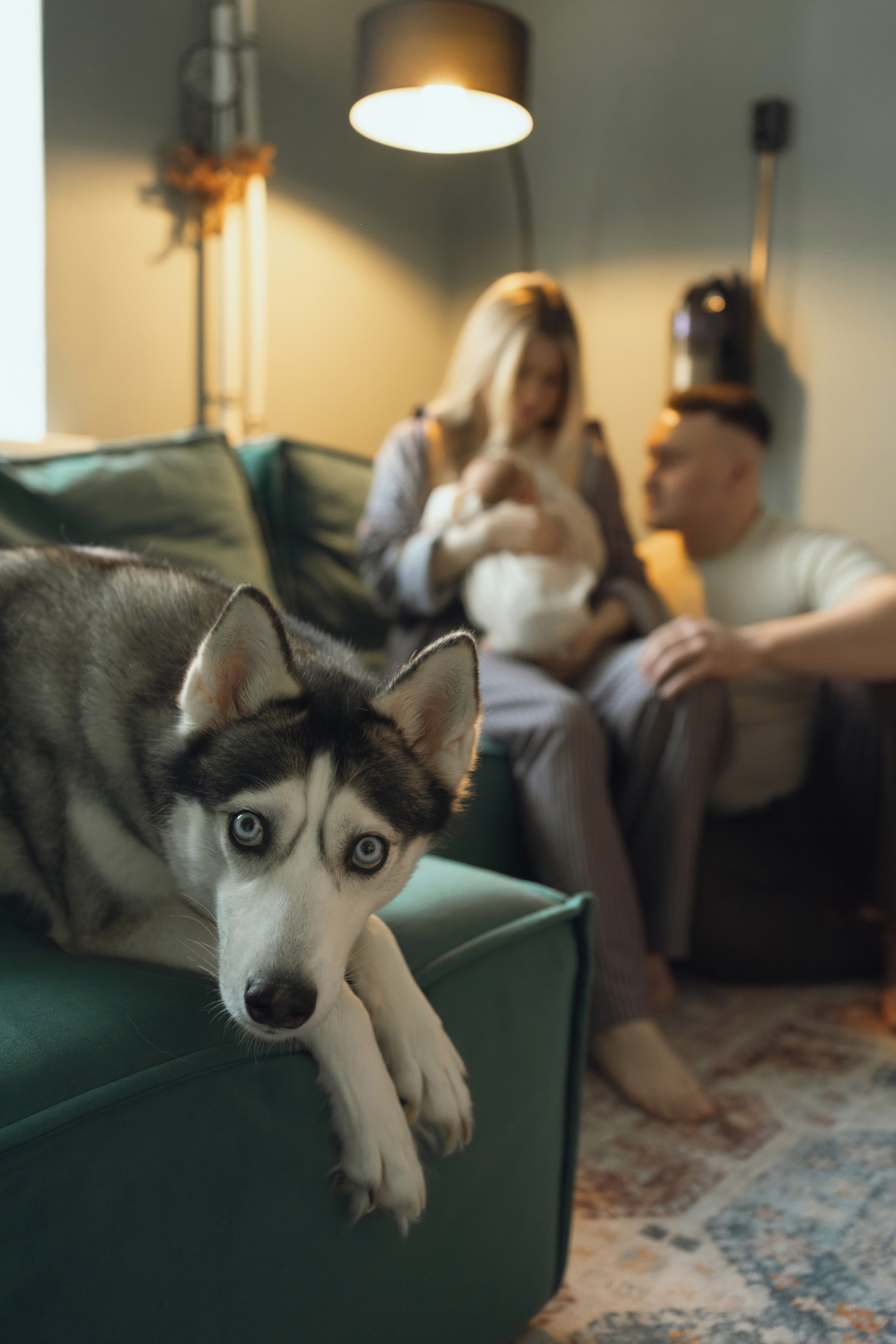 Иван, Валерия и Василиса. Семейный и детский фотограф Плесецк, Мирный Марина Забабурина