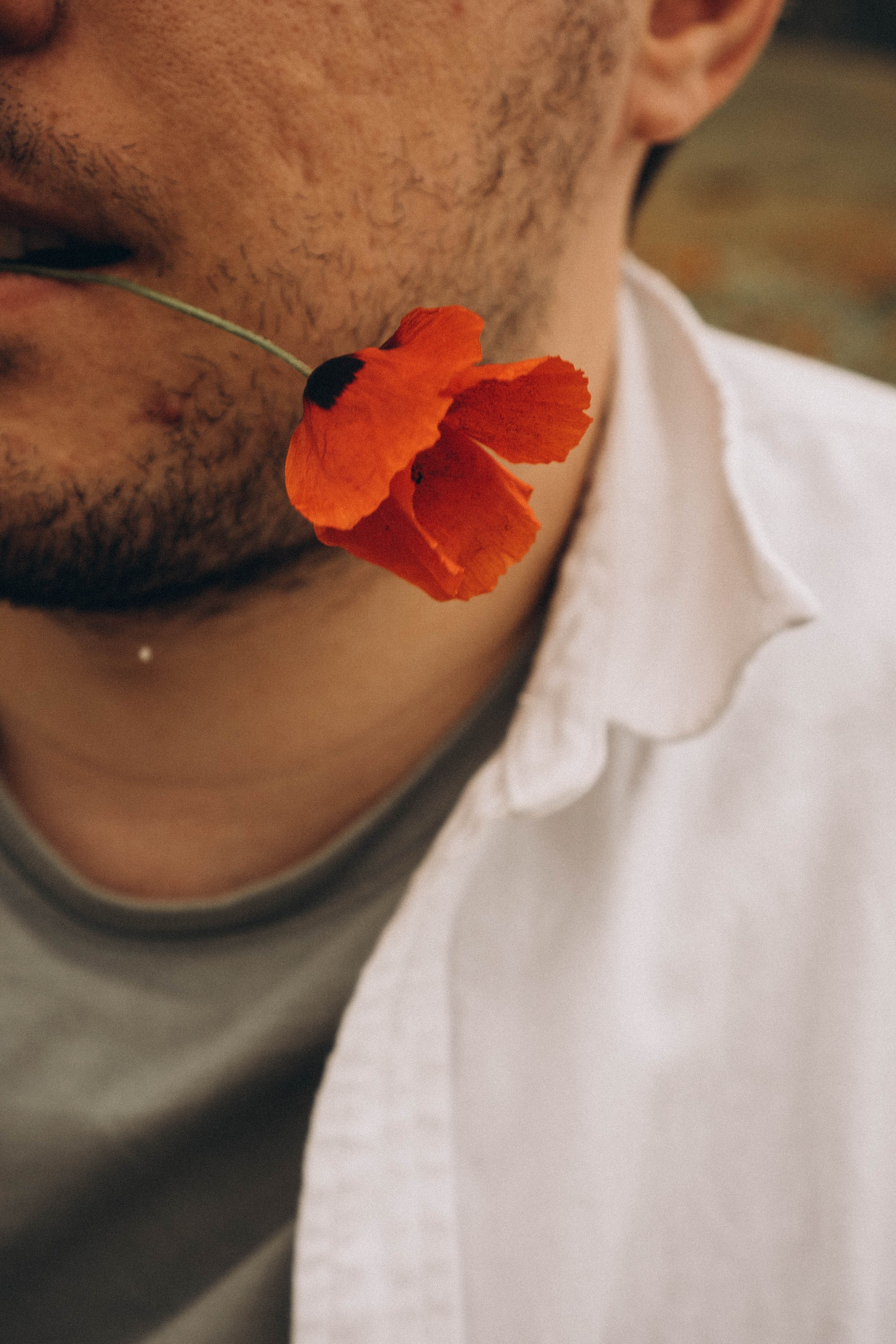 Маки. Профессиональный фотограф, Санкт-Петербург — Виктория Богомолова