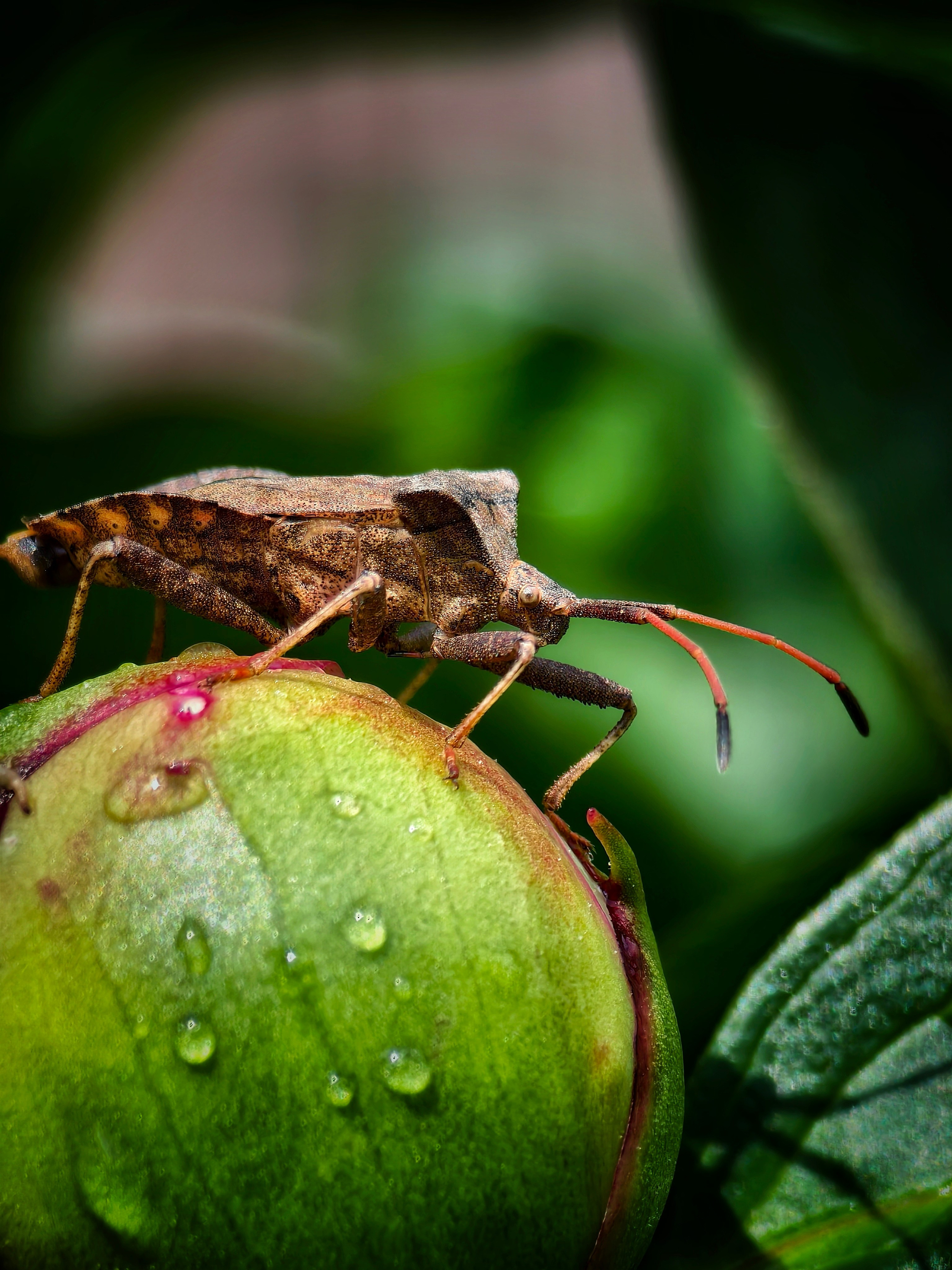 Большое в малом