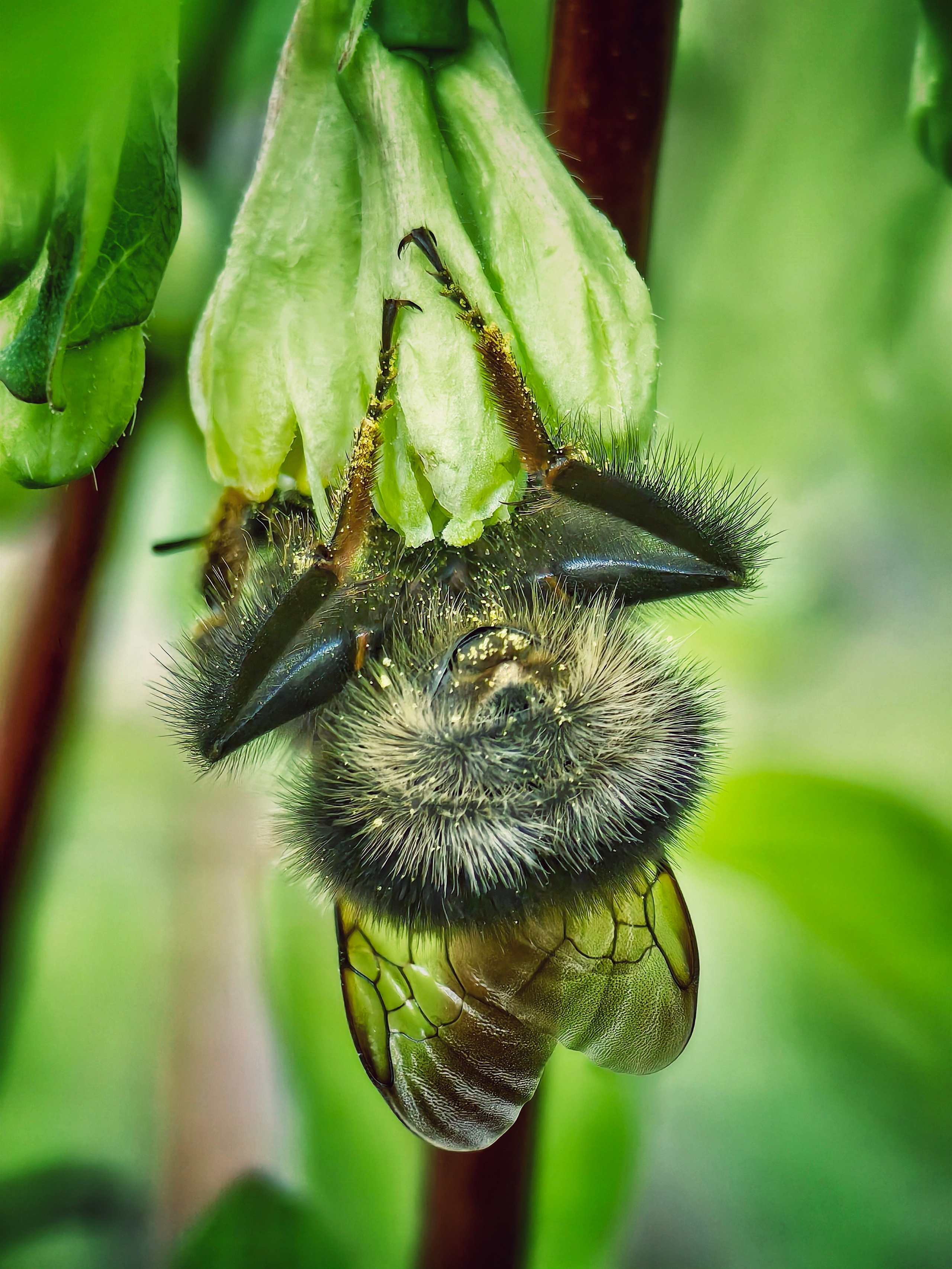 Большое в малом