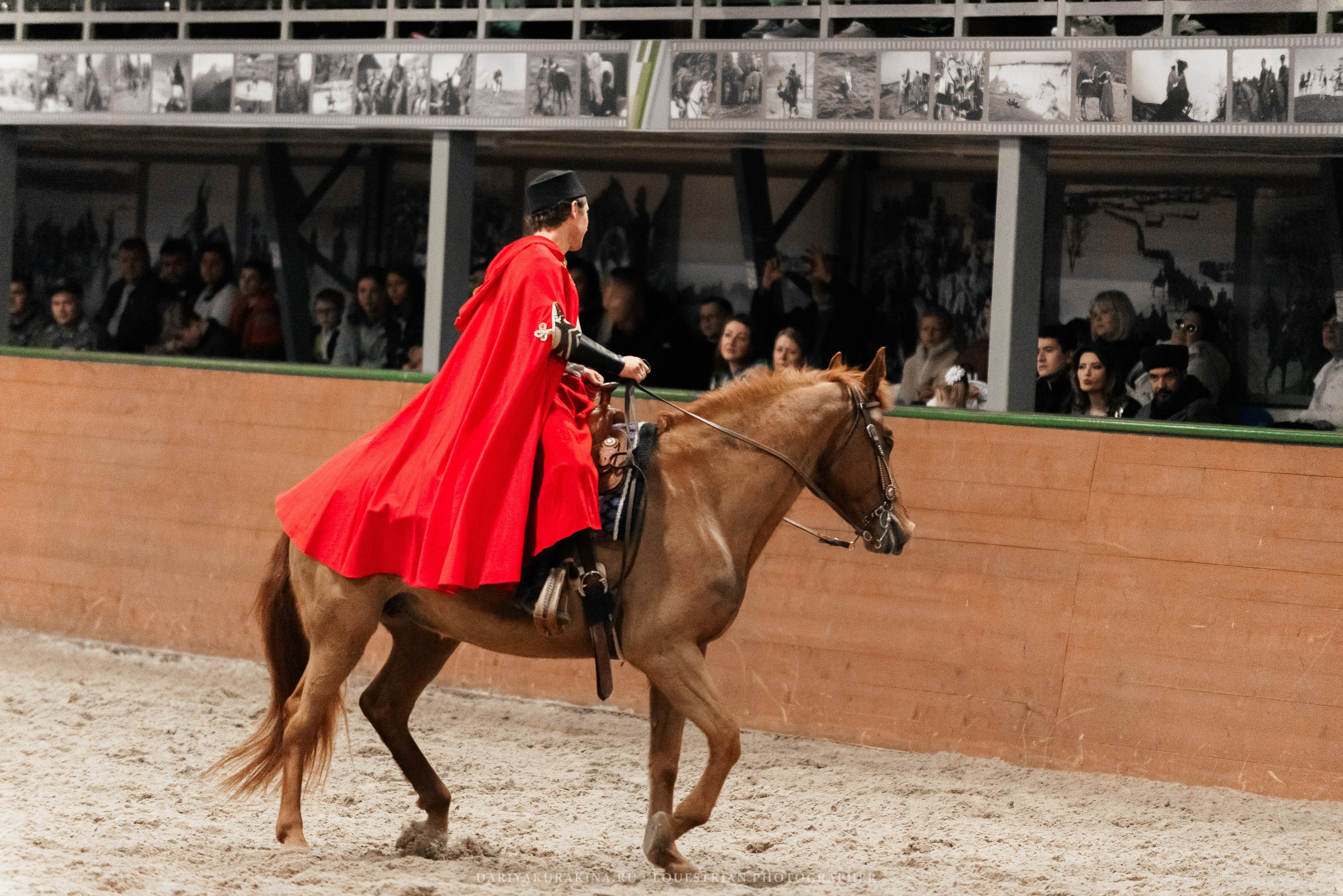 Конное представление «Дыхание Звёзд». Конный фотограф Куракина Дарья • Фотосессии с лошадьми