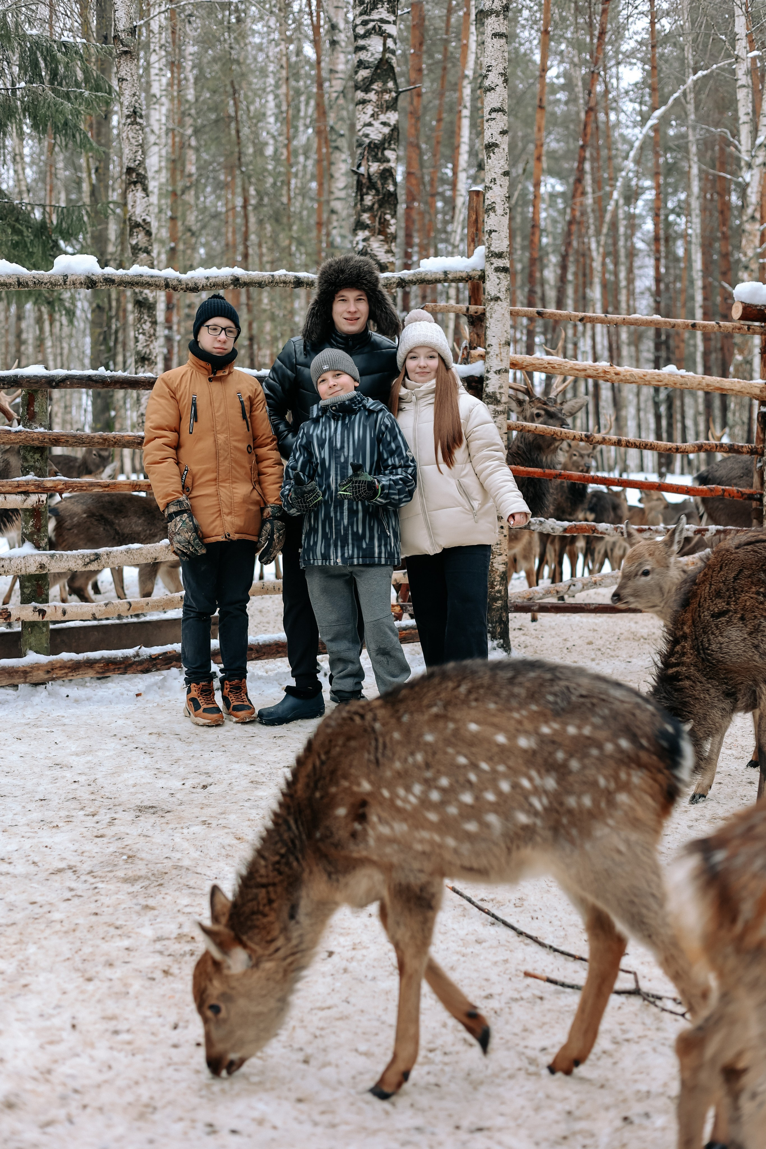 Экскурсия «Мир оленей». Фотограф Диана Воробьева Нижний Новгород