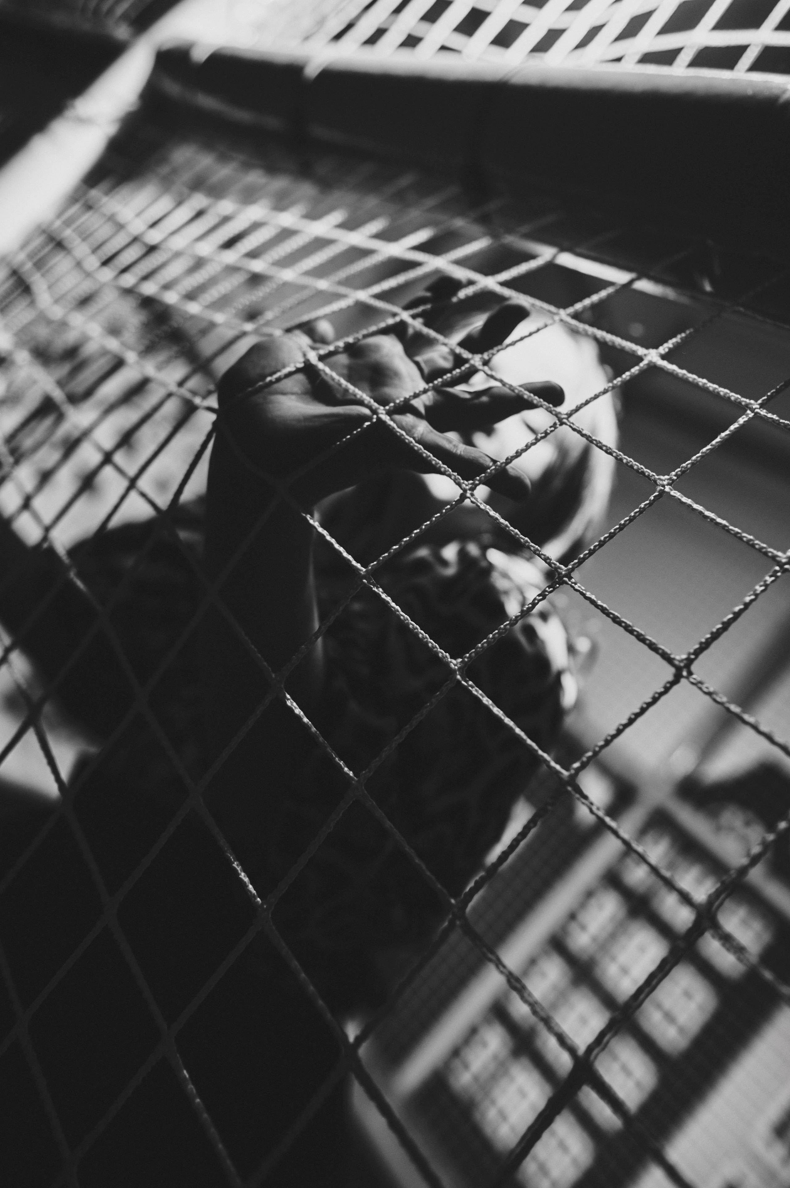 Катюше 8. Ваш мультижанровый фотограф Александр Белов