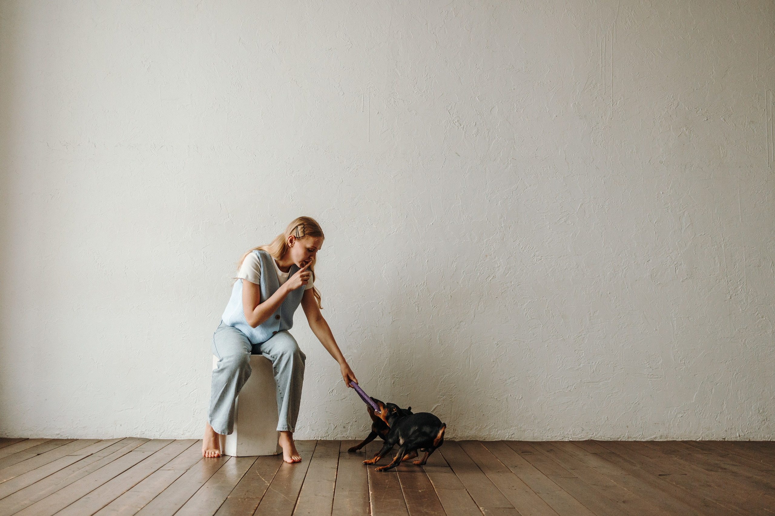 Катя и ее мальчики. Фотограф — Анималист | Санкт-Петербург