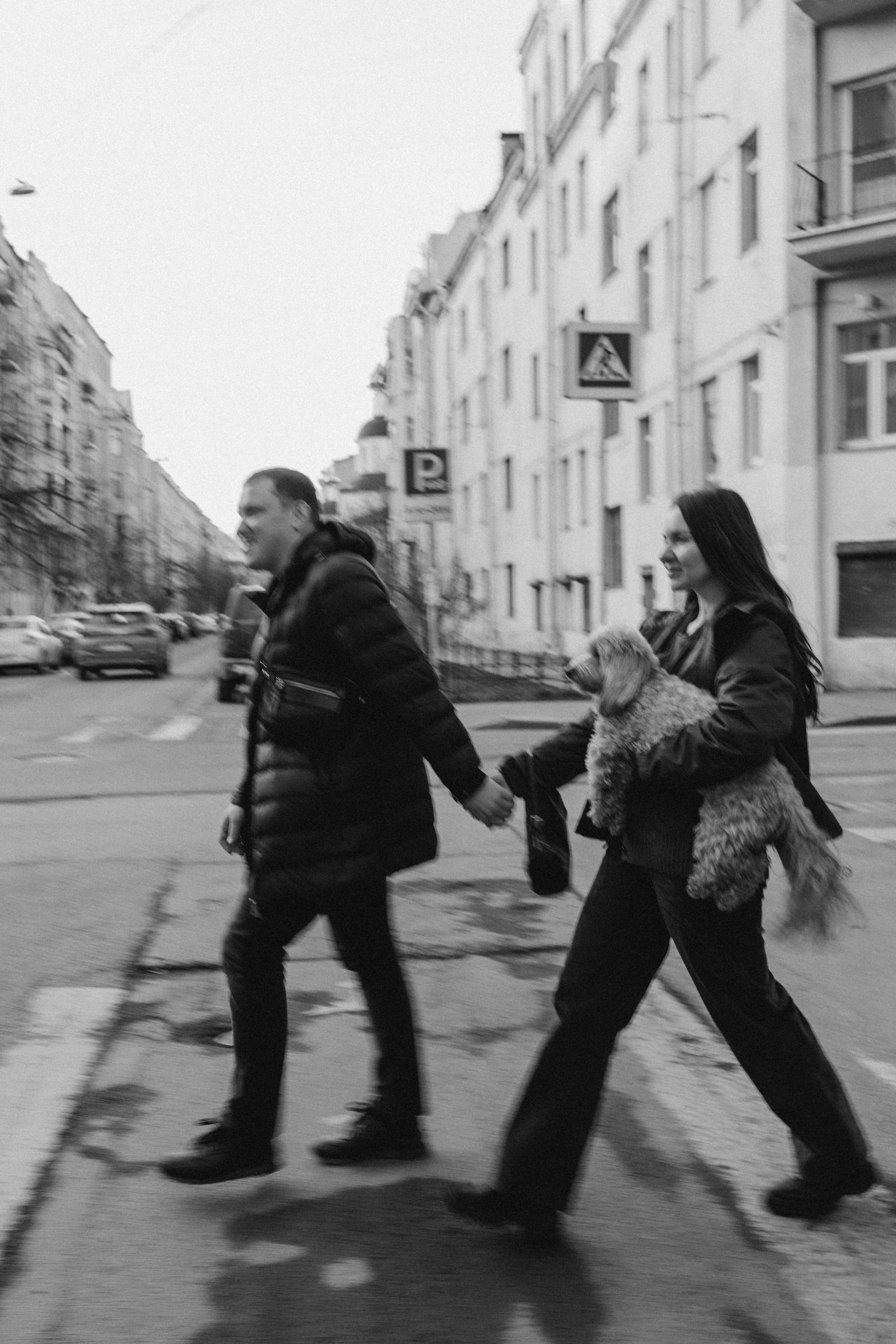 Шкипер и его семья. Фотограф — Анималист | Санкт-Петербург