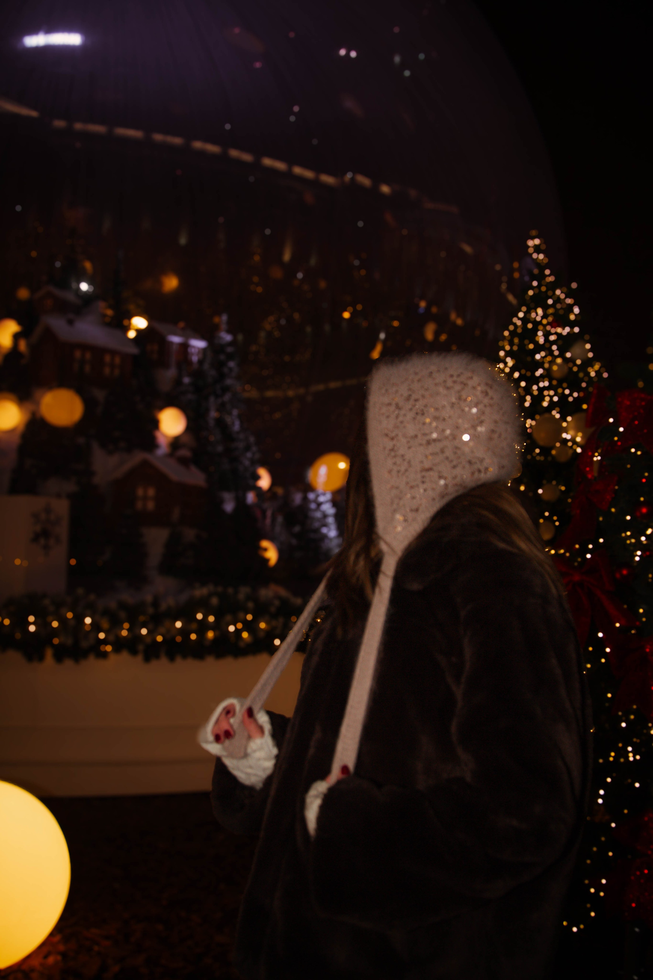 Новогодняя фотоссесия Екатерины. Ладно