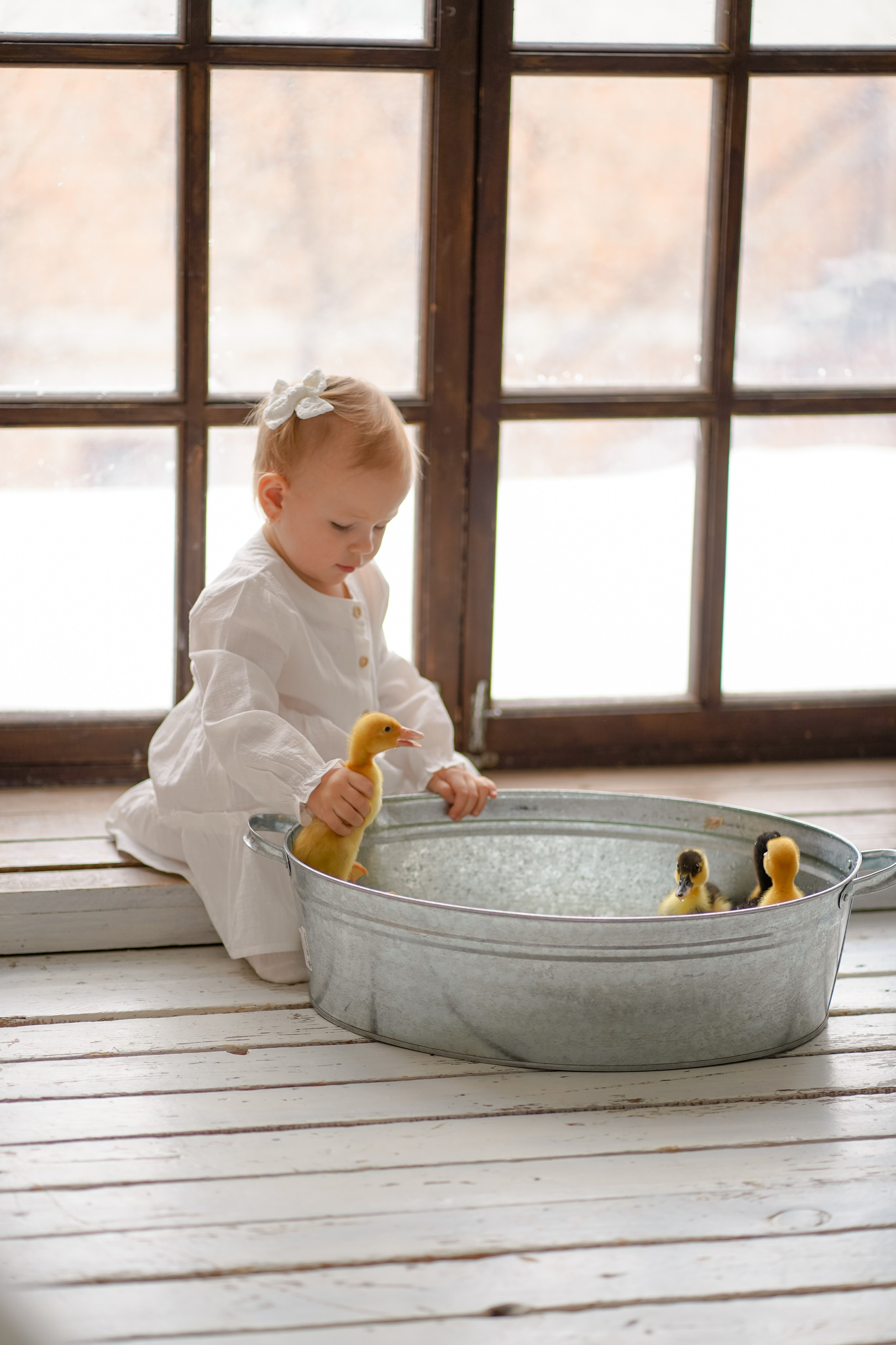 Пасхальные. Фотограф Татьяна Митрофанова