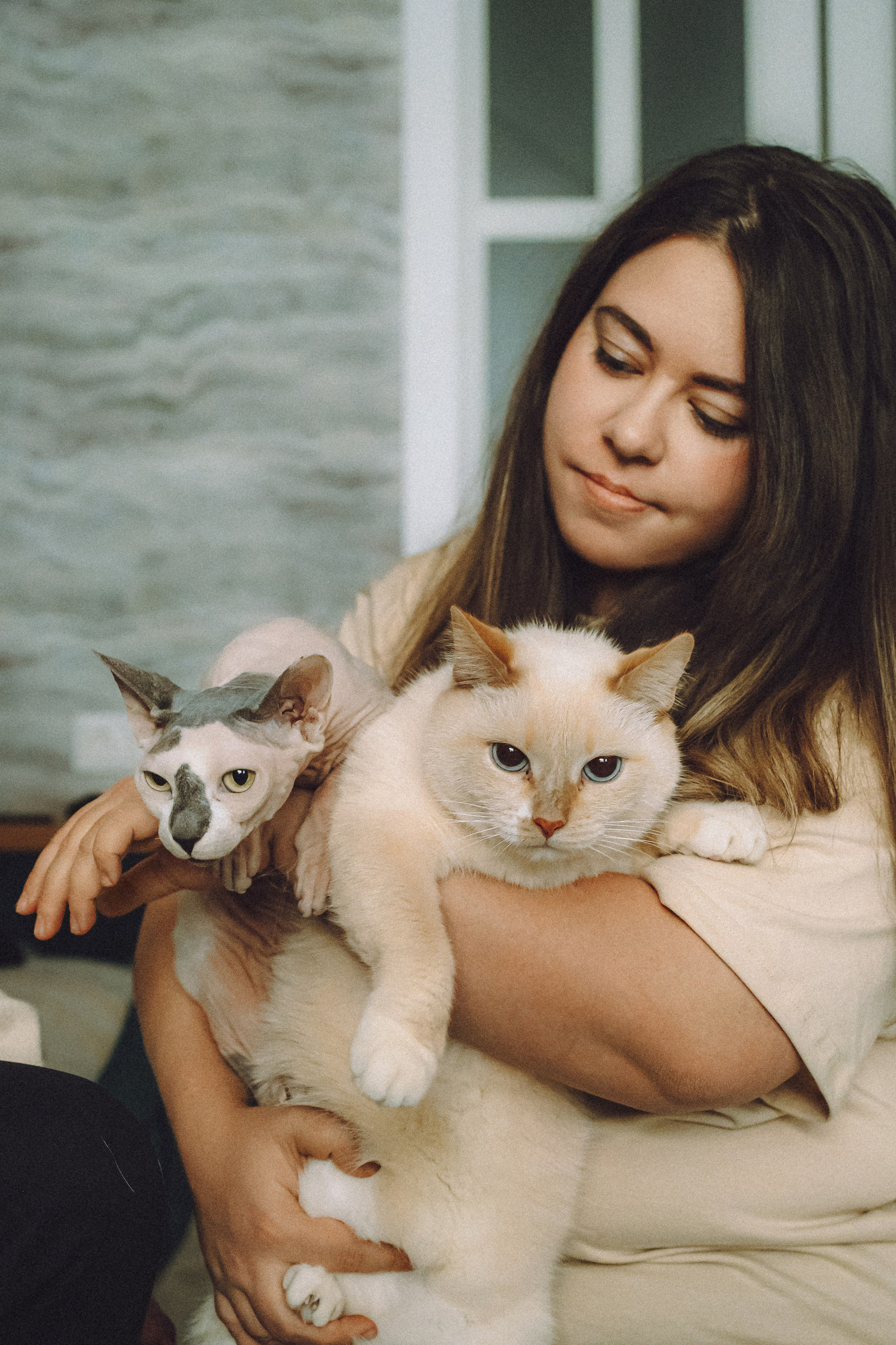 Топик и его семья