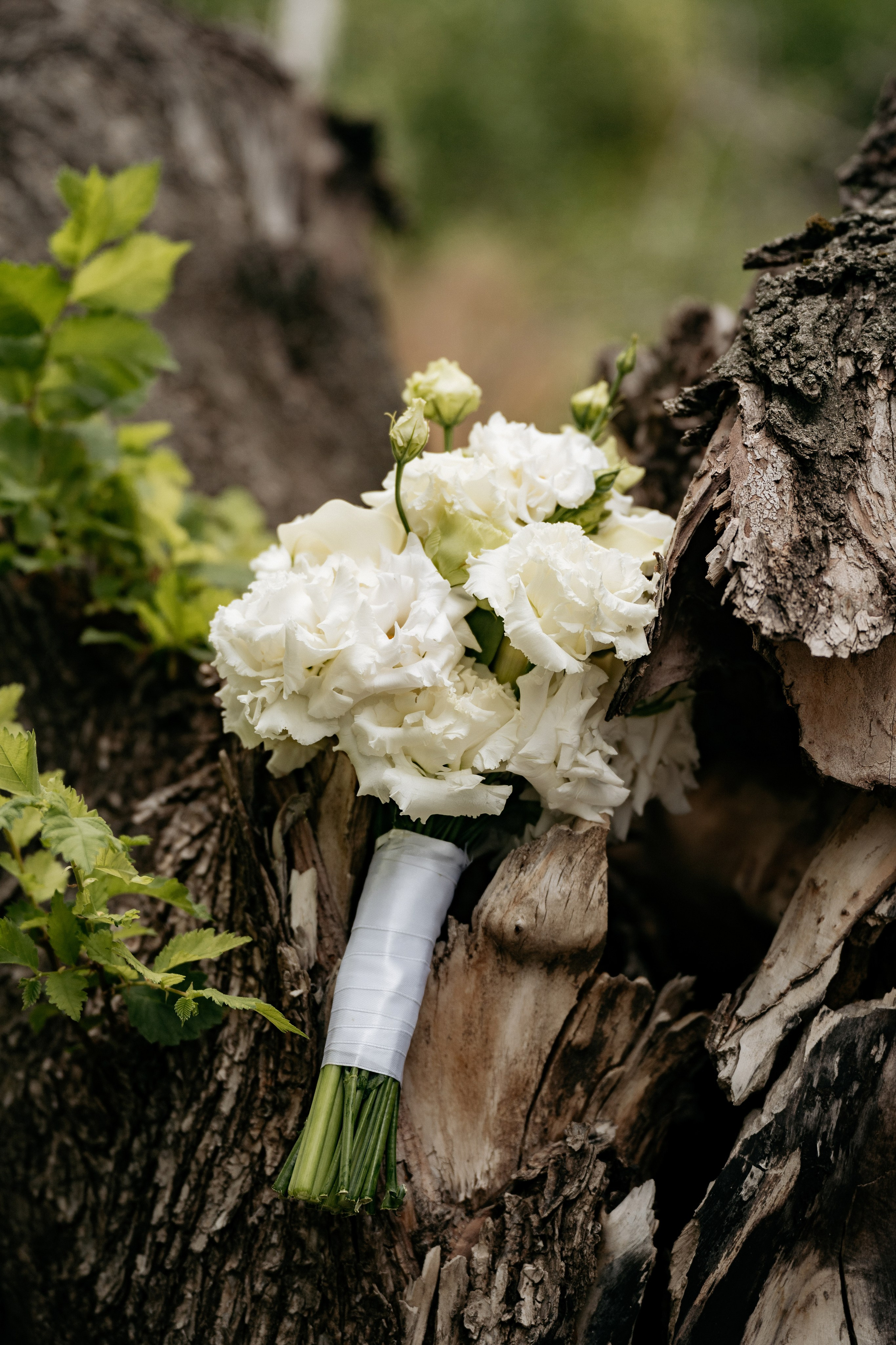 Фотосессия молодоженов в Кучугурах - фотограф поймал естественные эмоции