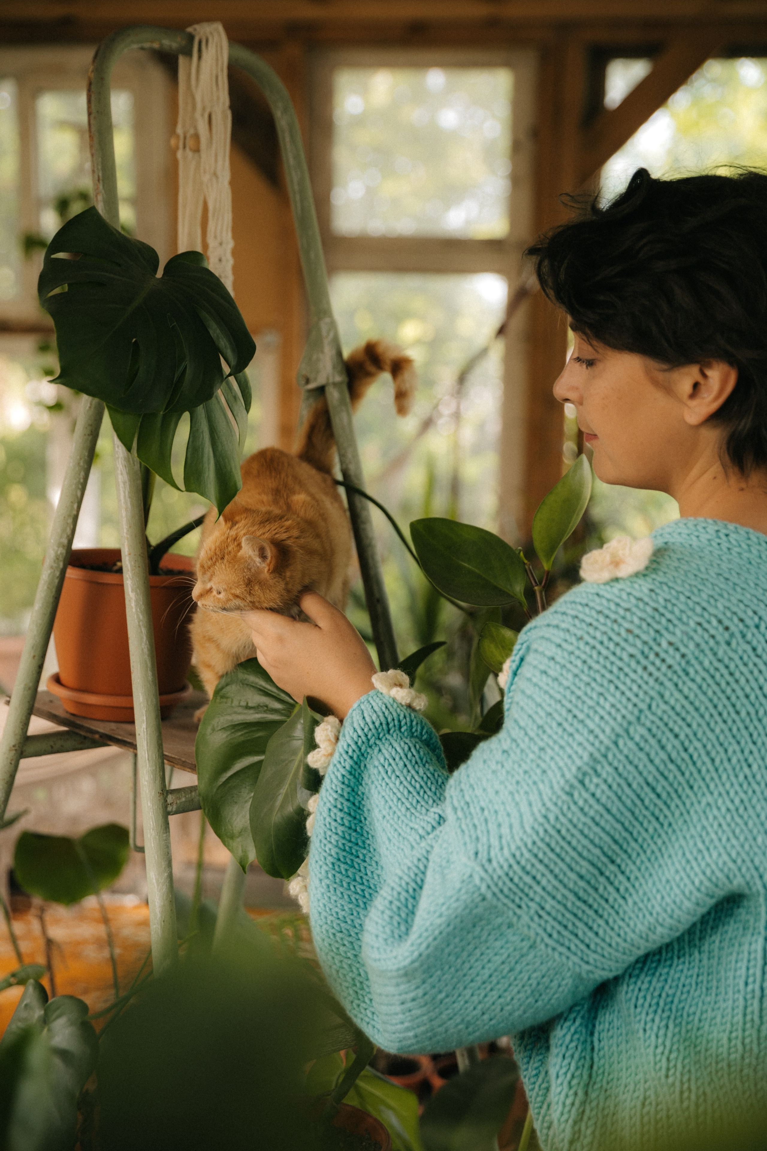 Ферма. Свадебный и семейный фотограф Василина Батищева в Моздоке, Северной Осетии и КМВ