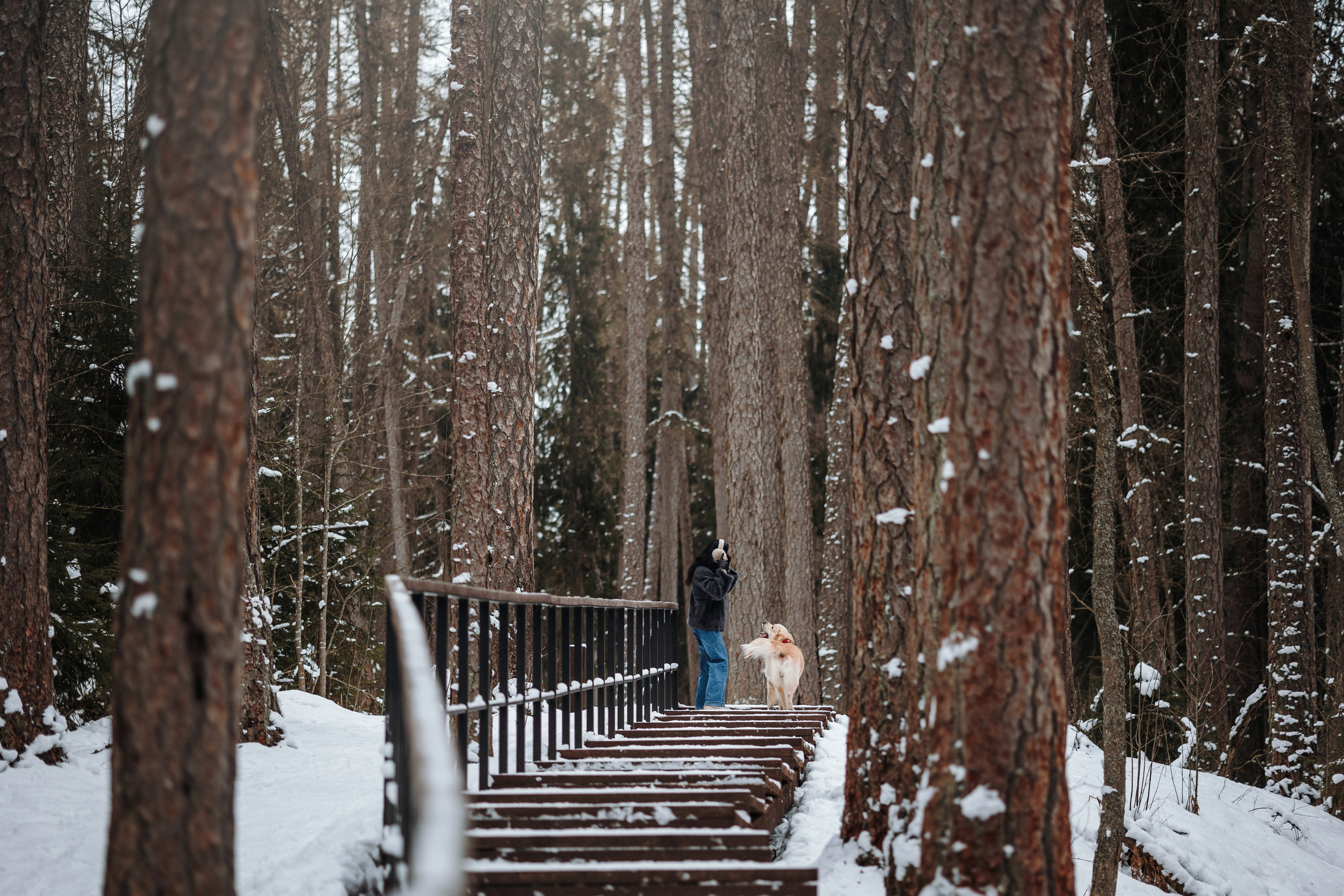 Вика и Лёва. Фотограф — Анималист | Санкт-Петербург