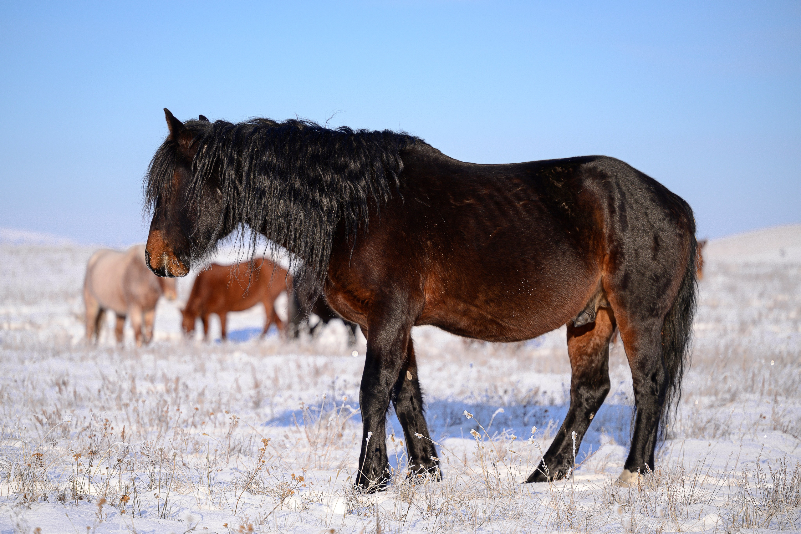 В природе. Портретный фотограф в Челябинске Катерина Руди