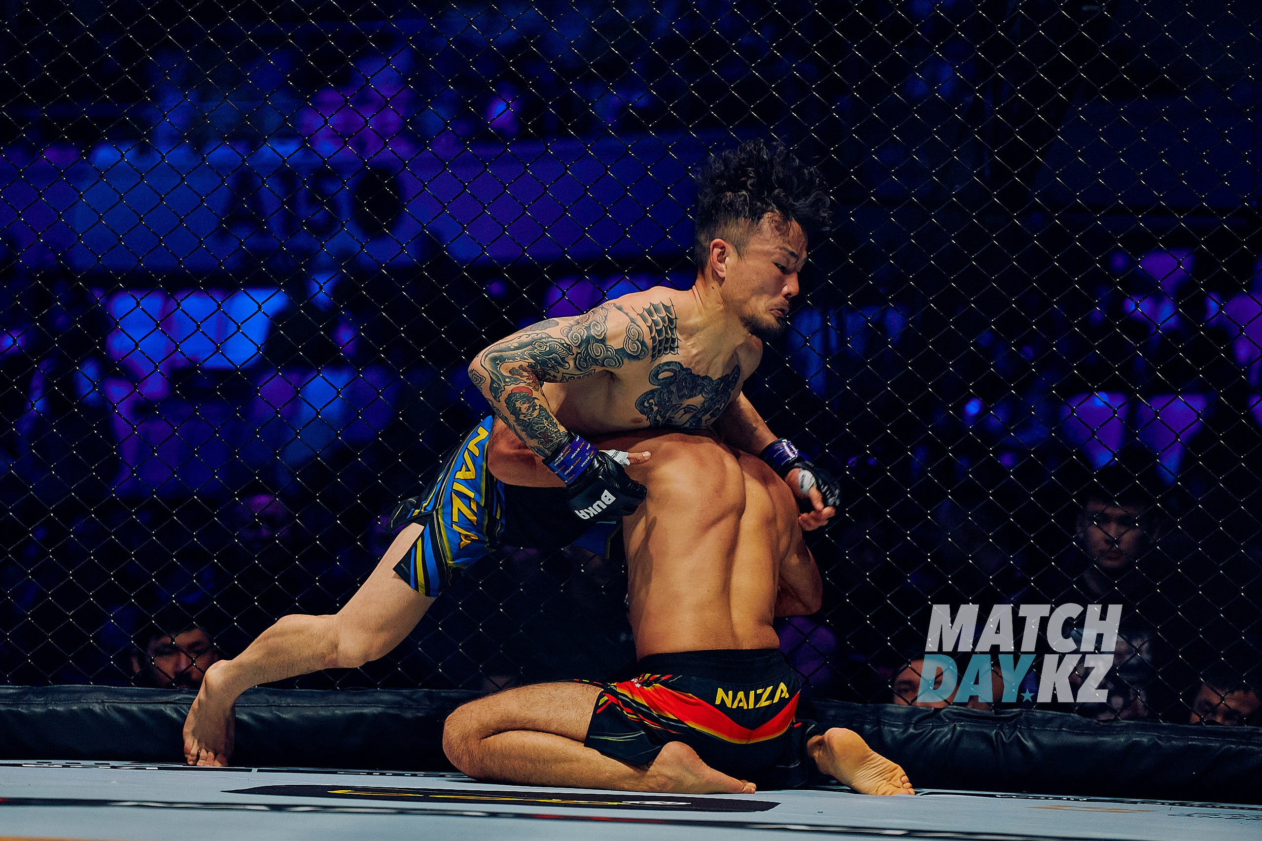 Naiza MMA (Astana) 6 December 2023. Professional photo & Event agency (Kazakhstan, Astana)
