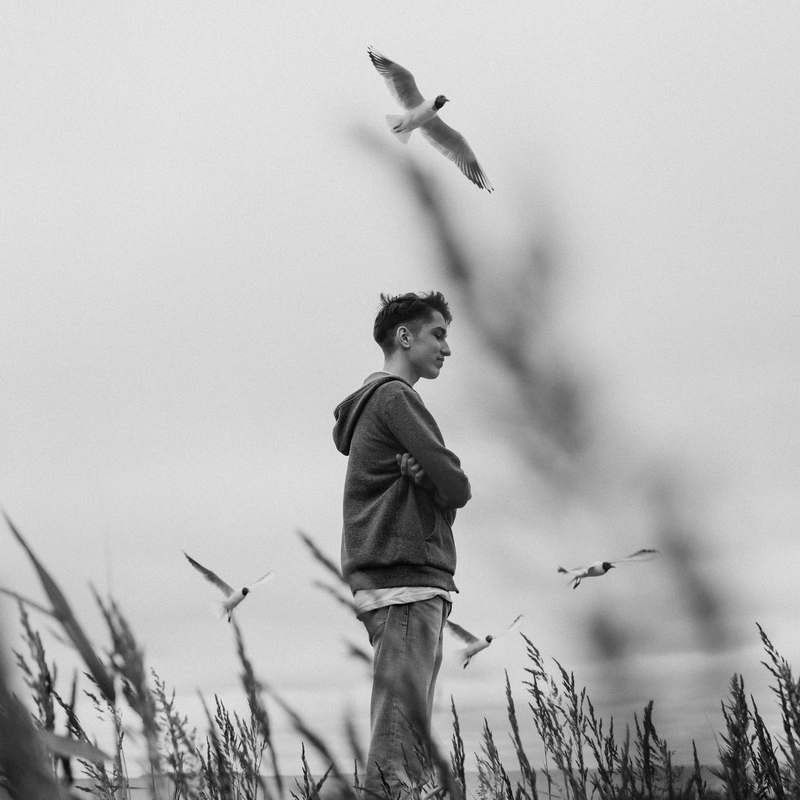 Криками чаек Едины. Фотограф Анна Гребенник