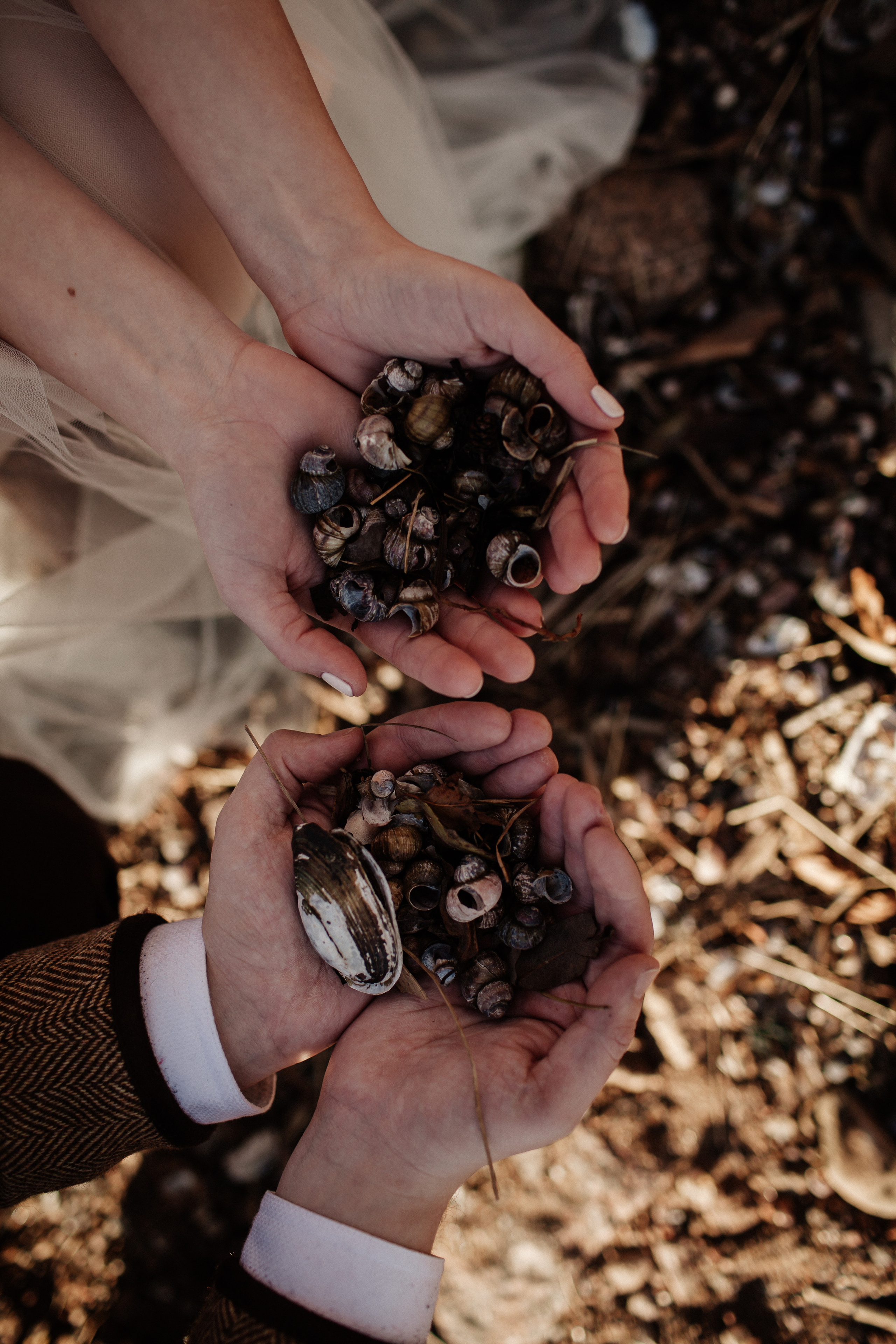 ALEKSEI & KRISTINA. Фотограф Анна Гребенник