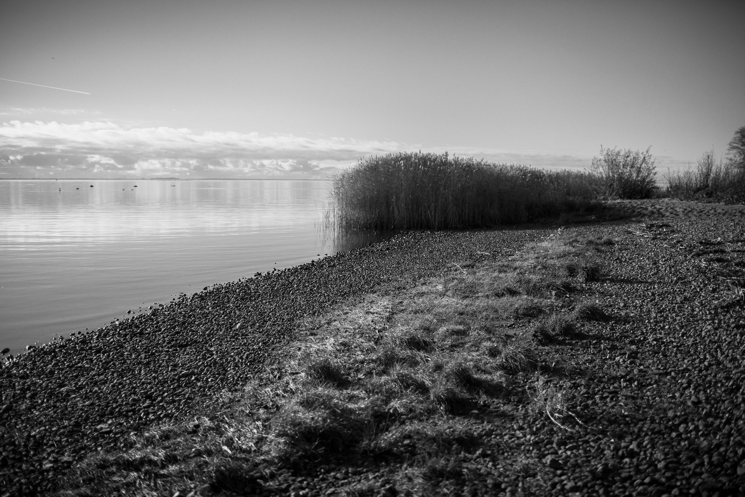 ALEKSEI & KRISTINA. Фотограф Анна Гребенник