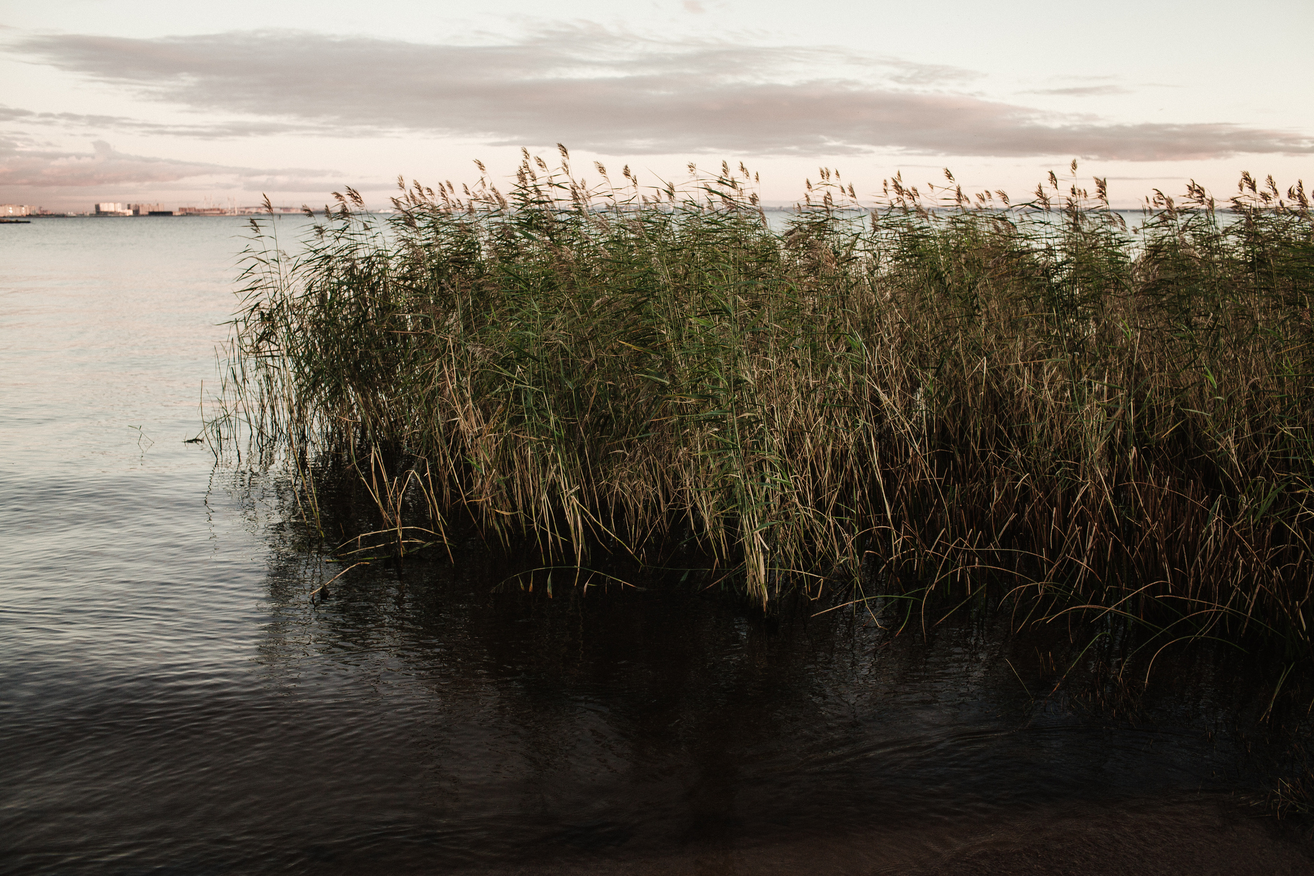 IVAN & EVGENIIA. Фотограф Анна Гребенник