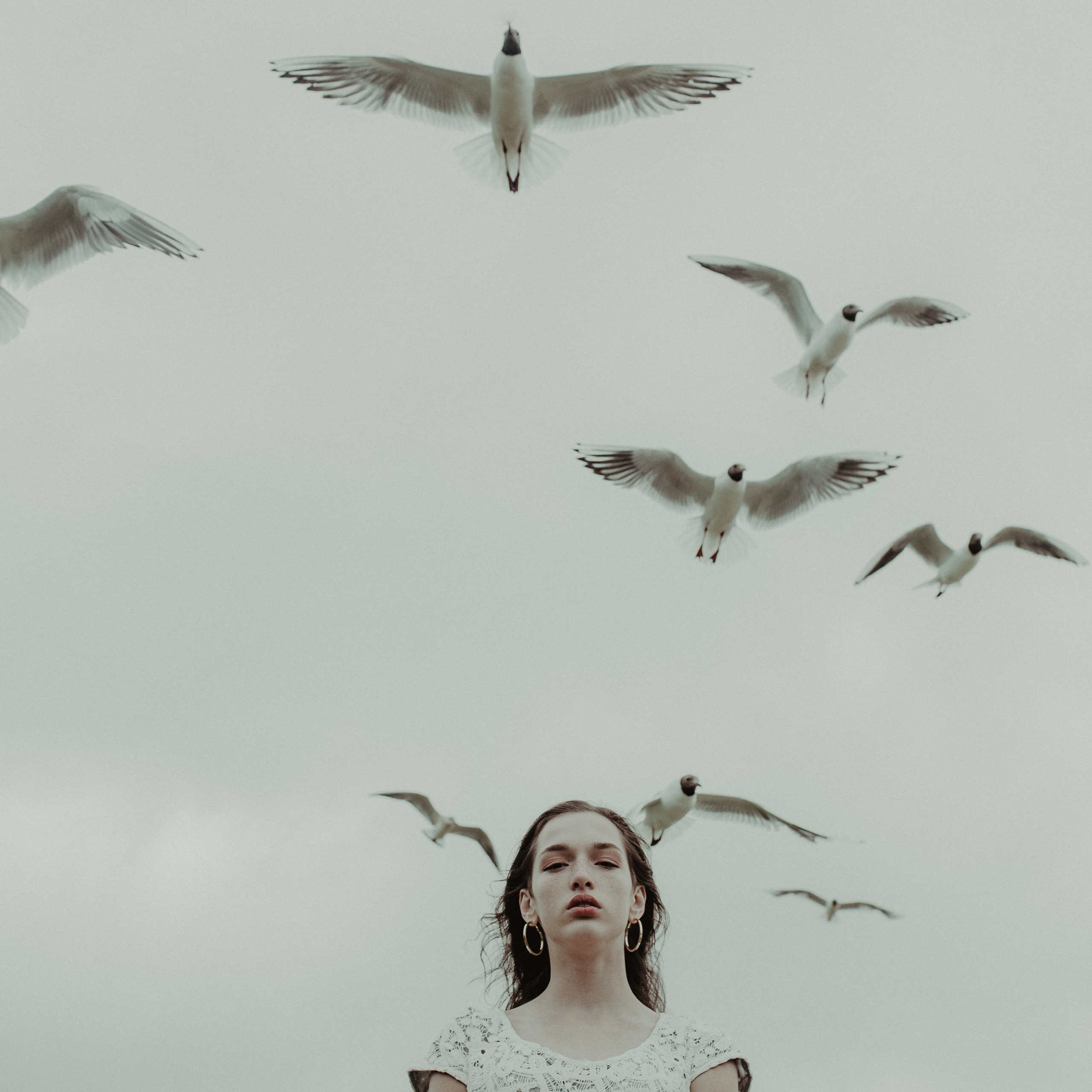 Криками чаек Едины. Фотограф Анна Гребенник