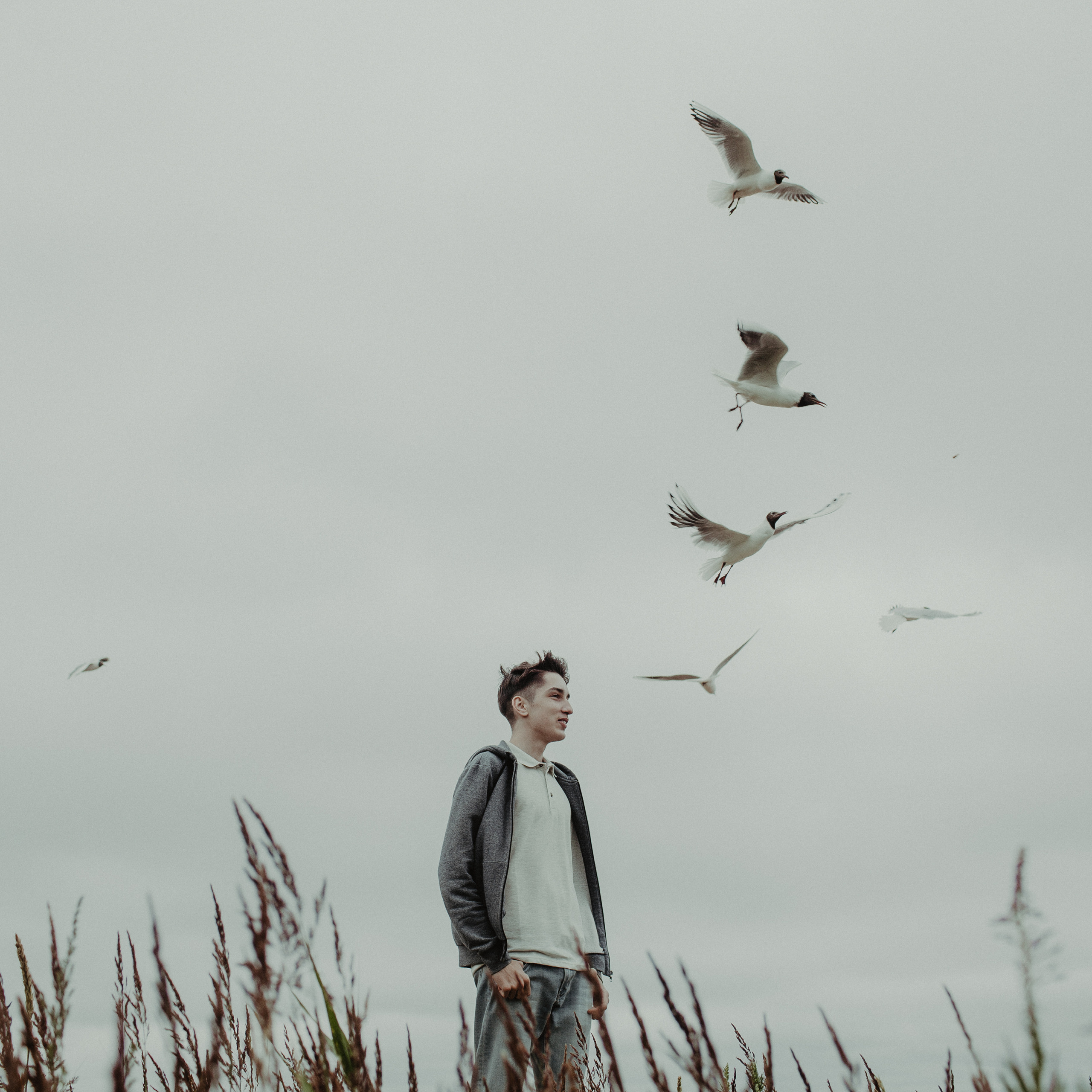 Криками чаек Едины. Фотограф Анна Гребенник