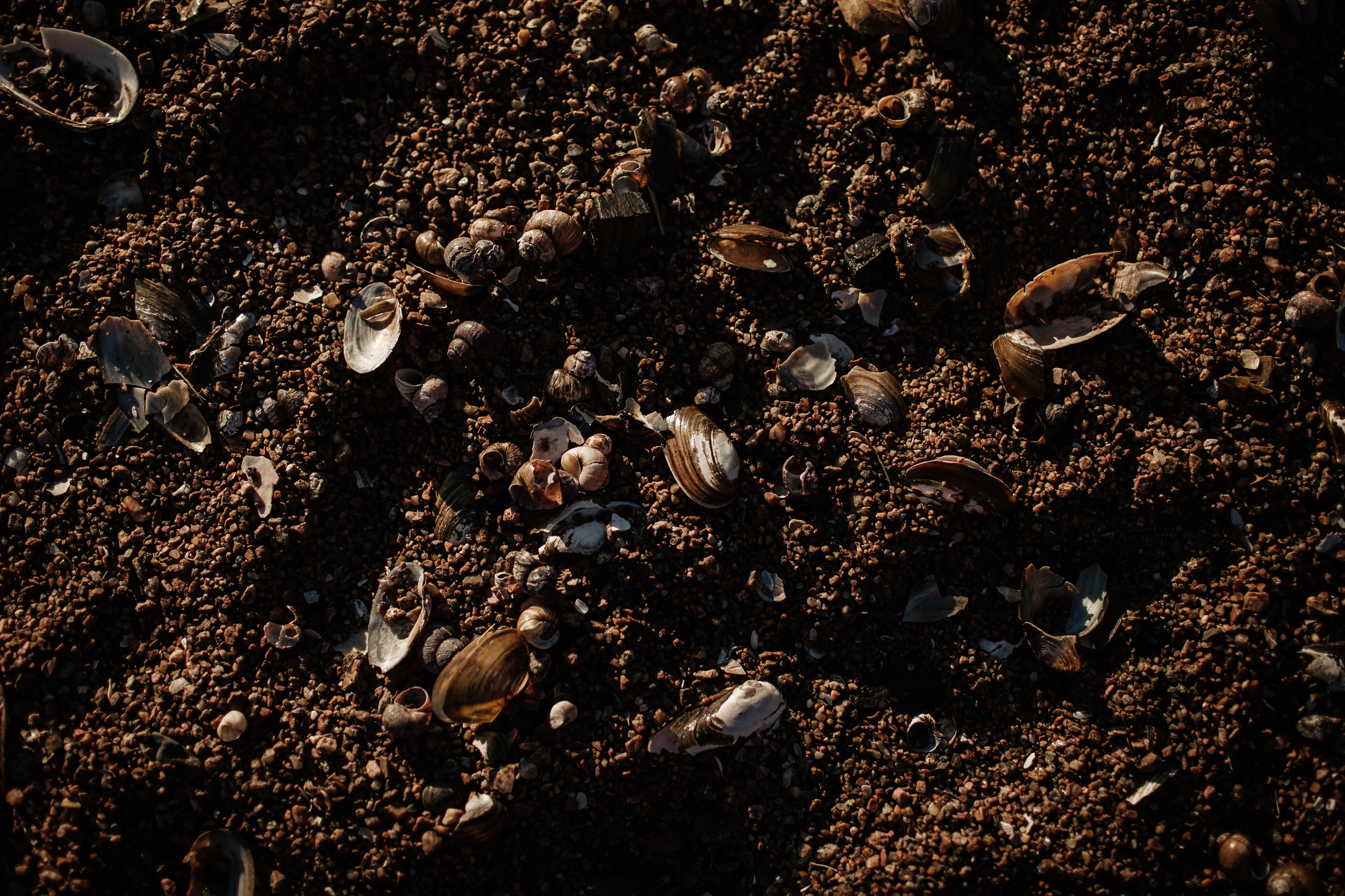 ALEKSEI & KRISTINA. Фотограф Анна Гребенник