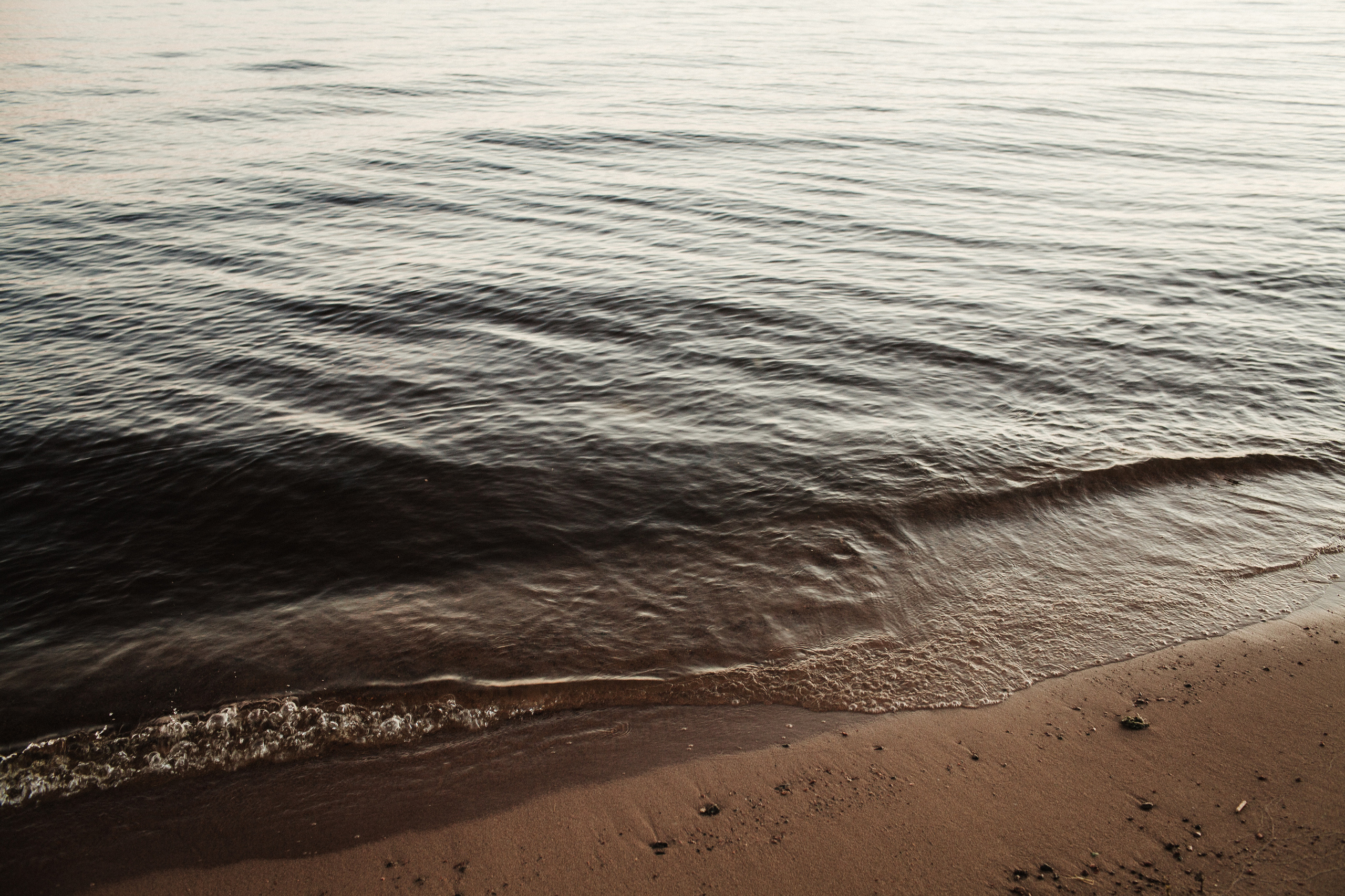 IVAN & EVGENIIA. Фотограф Анна Гребенник