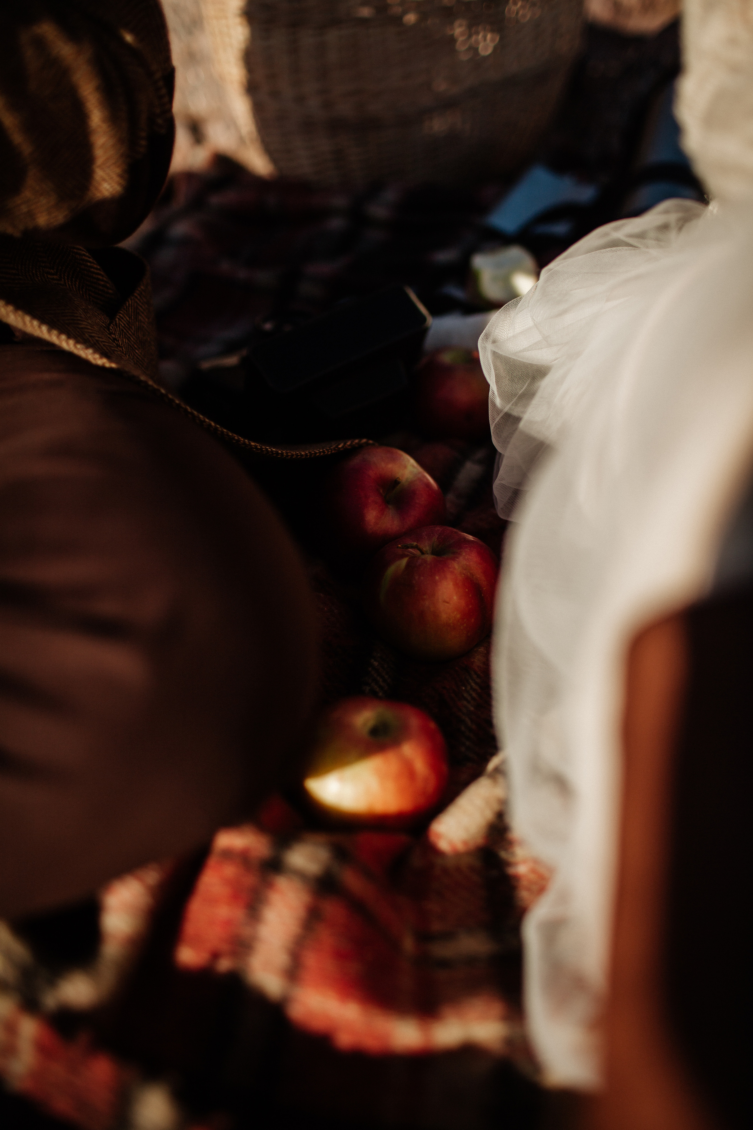 ALEKSEI & KRISTINA. Фотограф Анна Гребенник