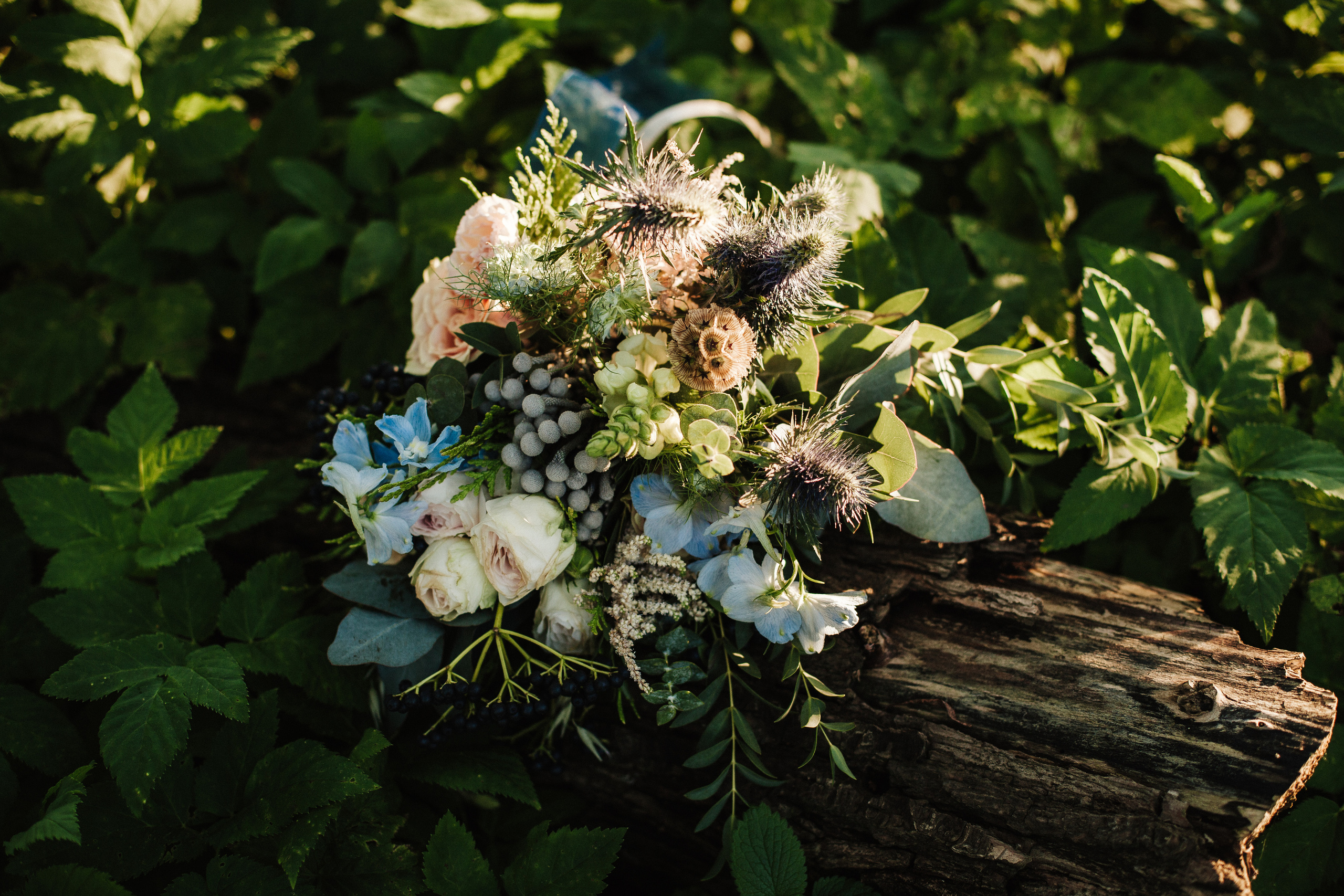 IVAN & EVGENIIA. Фотограф Анна Гребенник
