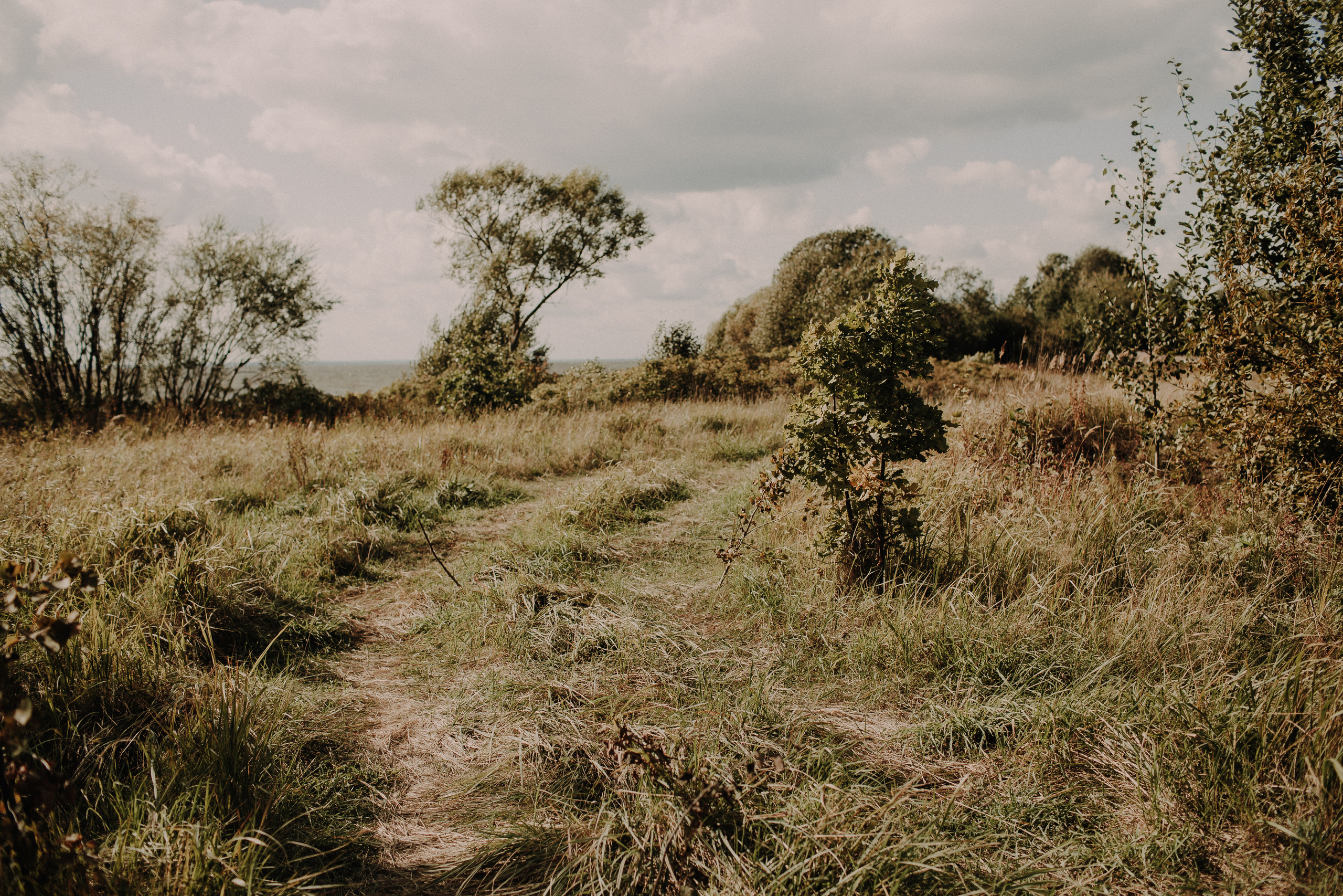 DANIIL & KAROLINA. Фотограф Анна Гребенник
