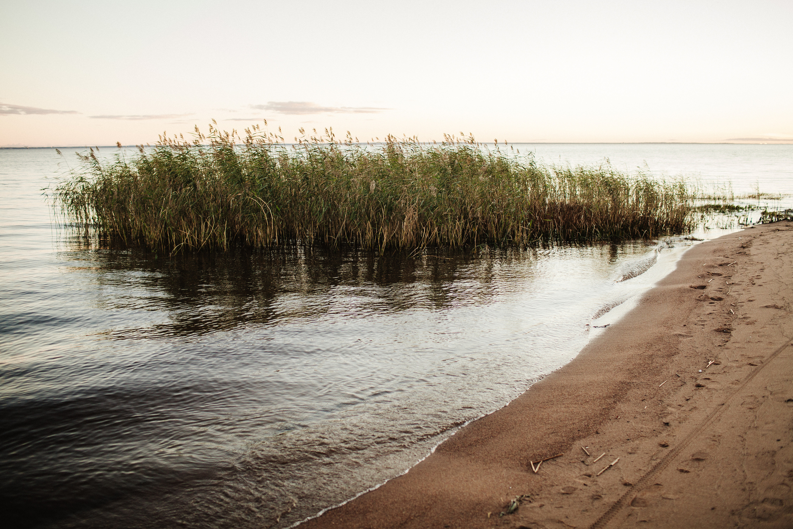 IVAN & EVGENIIA. Фотограф Анна Гребенник