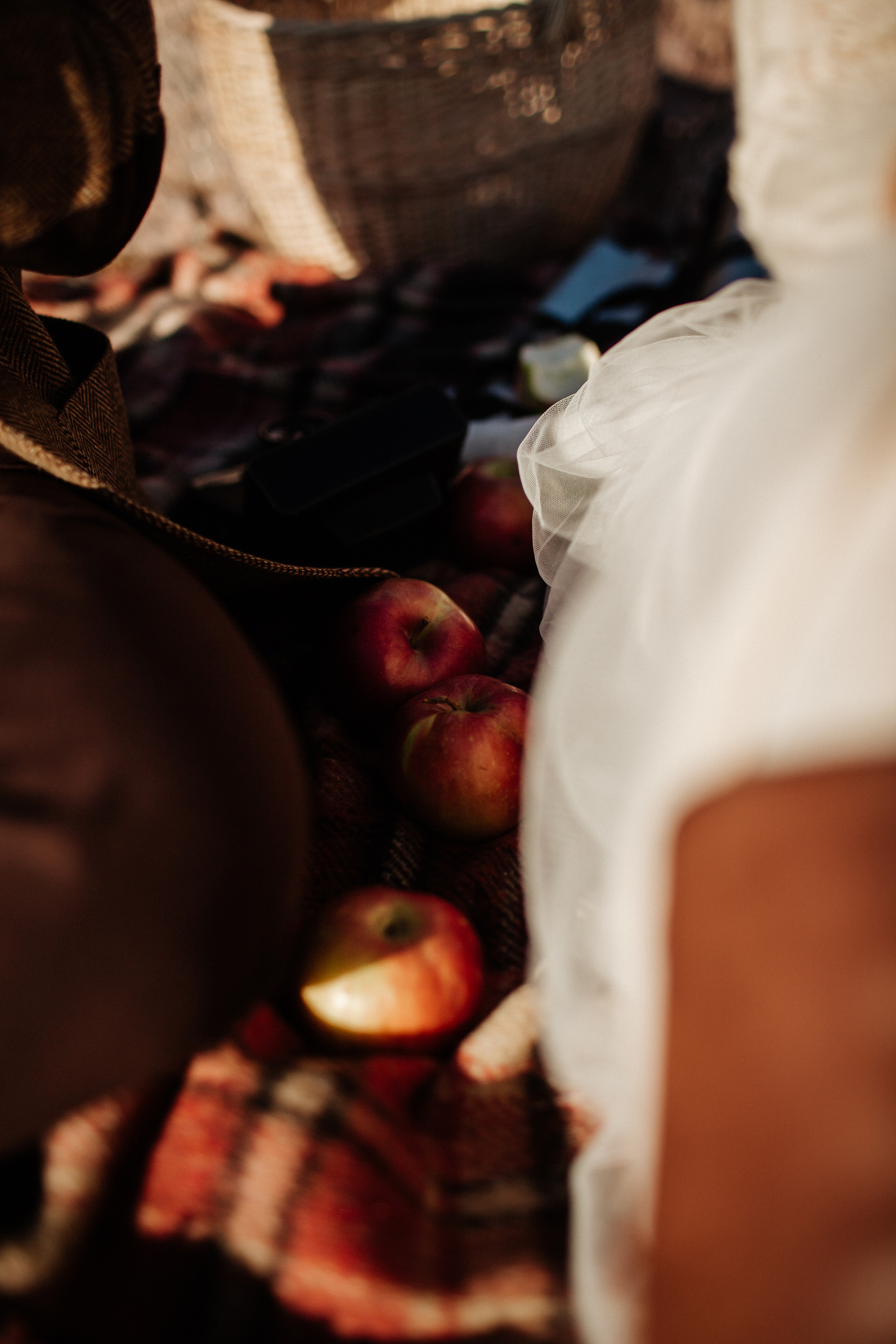 ALEKSEI & KRISTINA. Фотограф Анна Гребенник