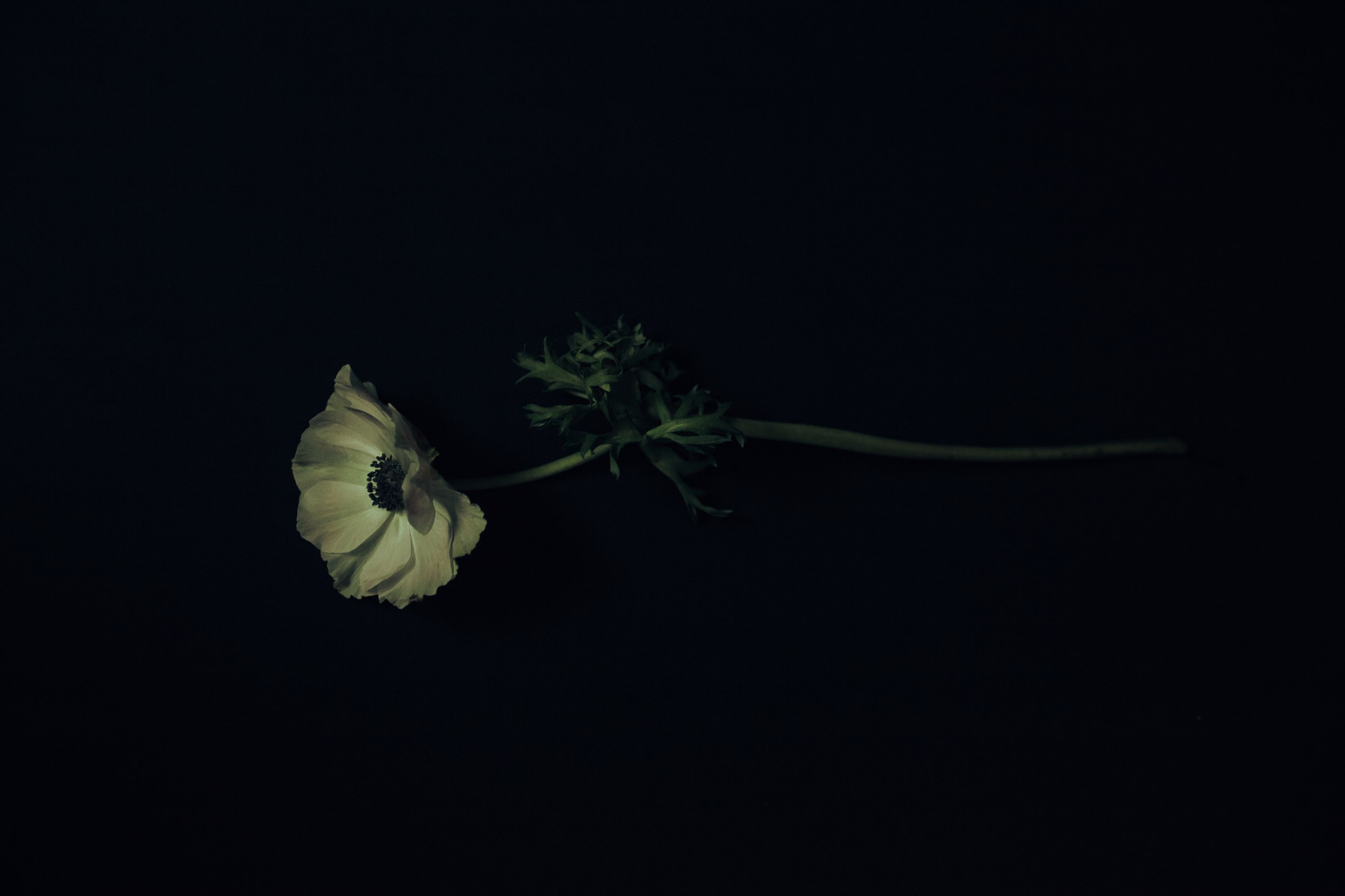 Nataly. Фотограф Анна Гребенник