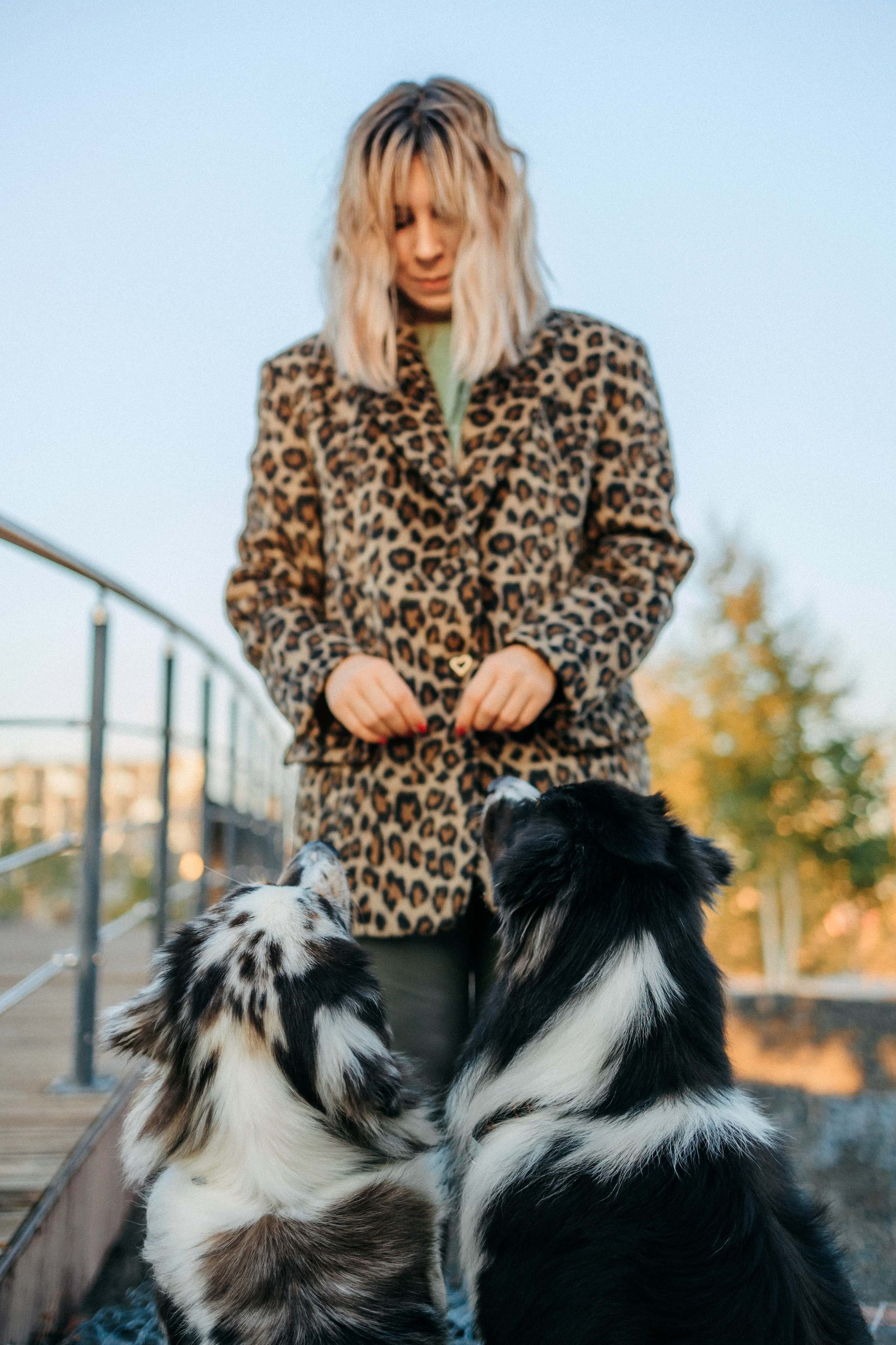 Аня, Чарли и Ева. Фотограф-анималист Елена Радченко, Москва