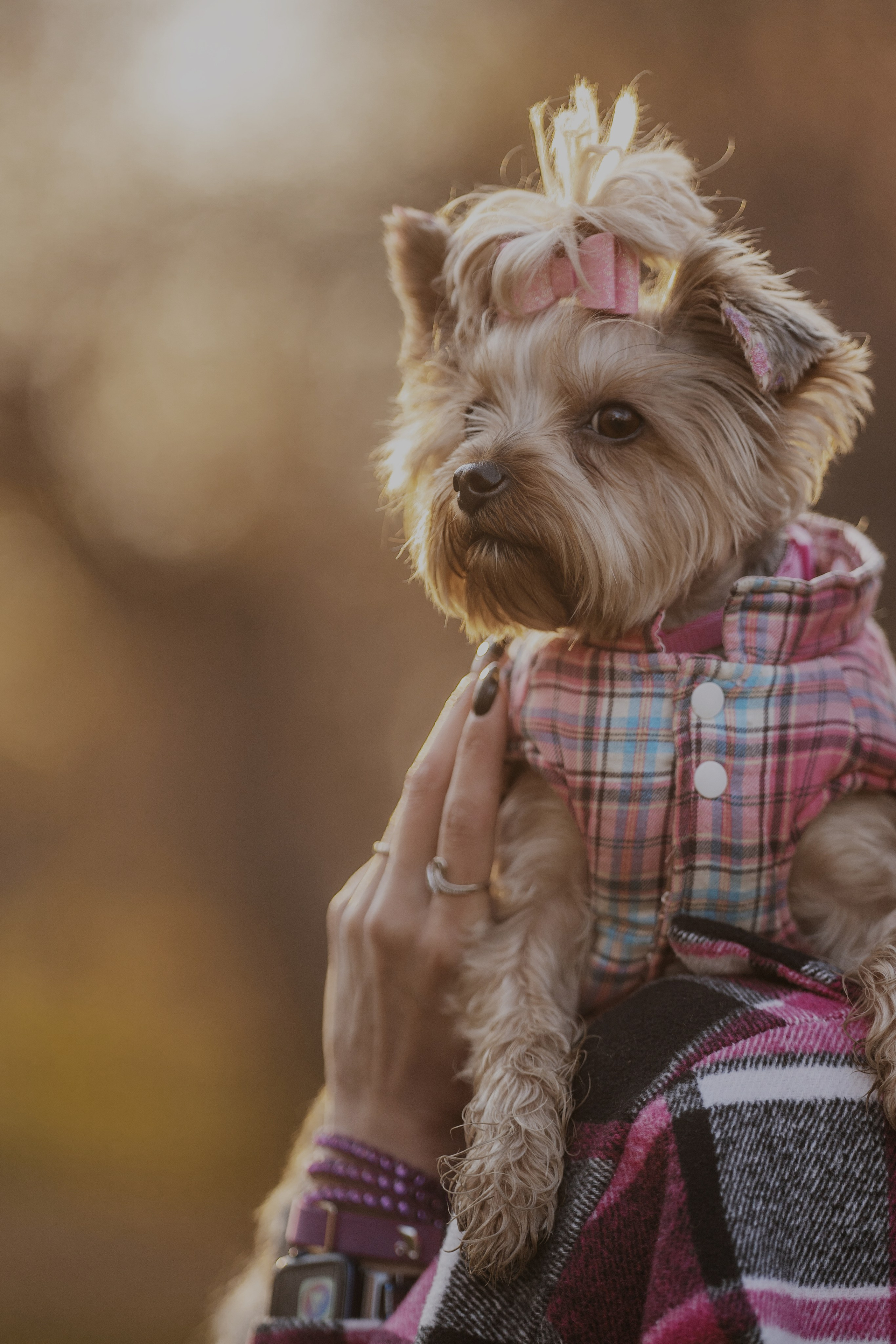 Мария + Роксана (история дружбы). Kameramotor74