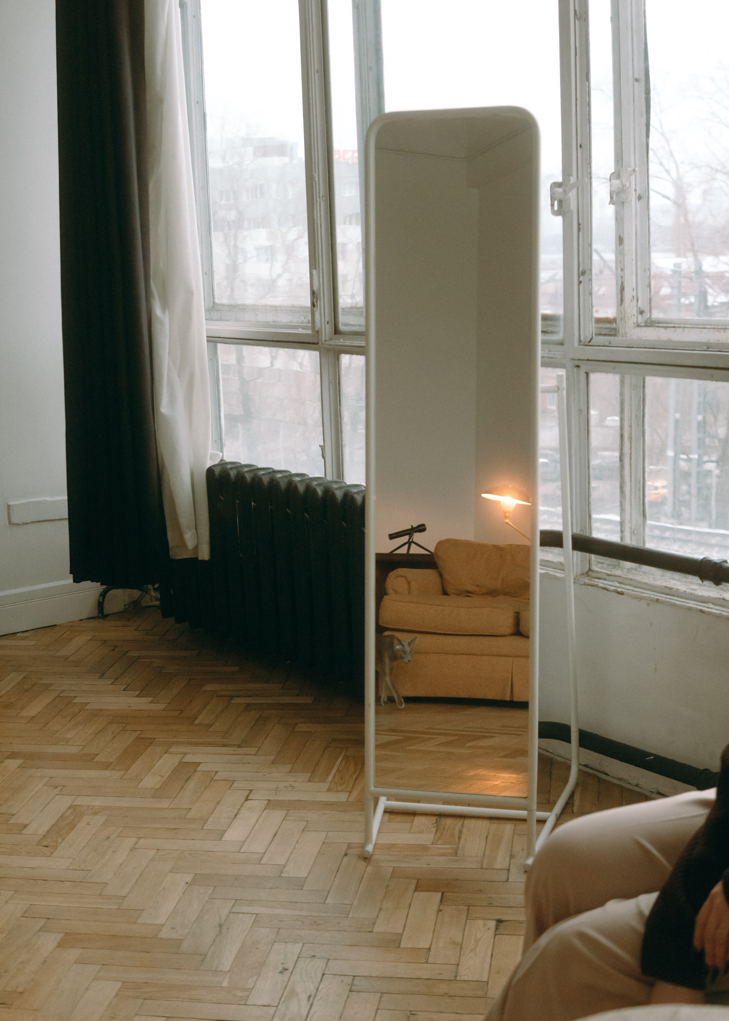 Амина, Булат и Орион. Фотограф-анималист Ксения Воробьева, Москва