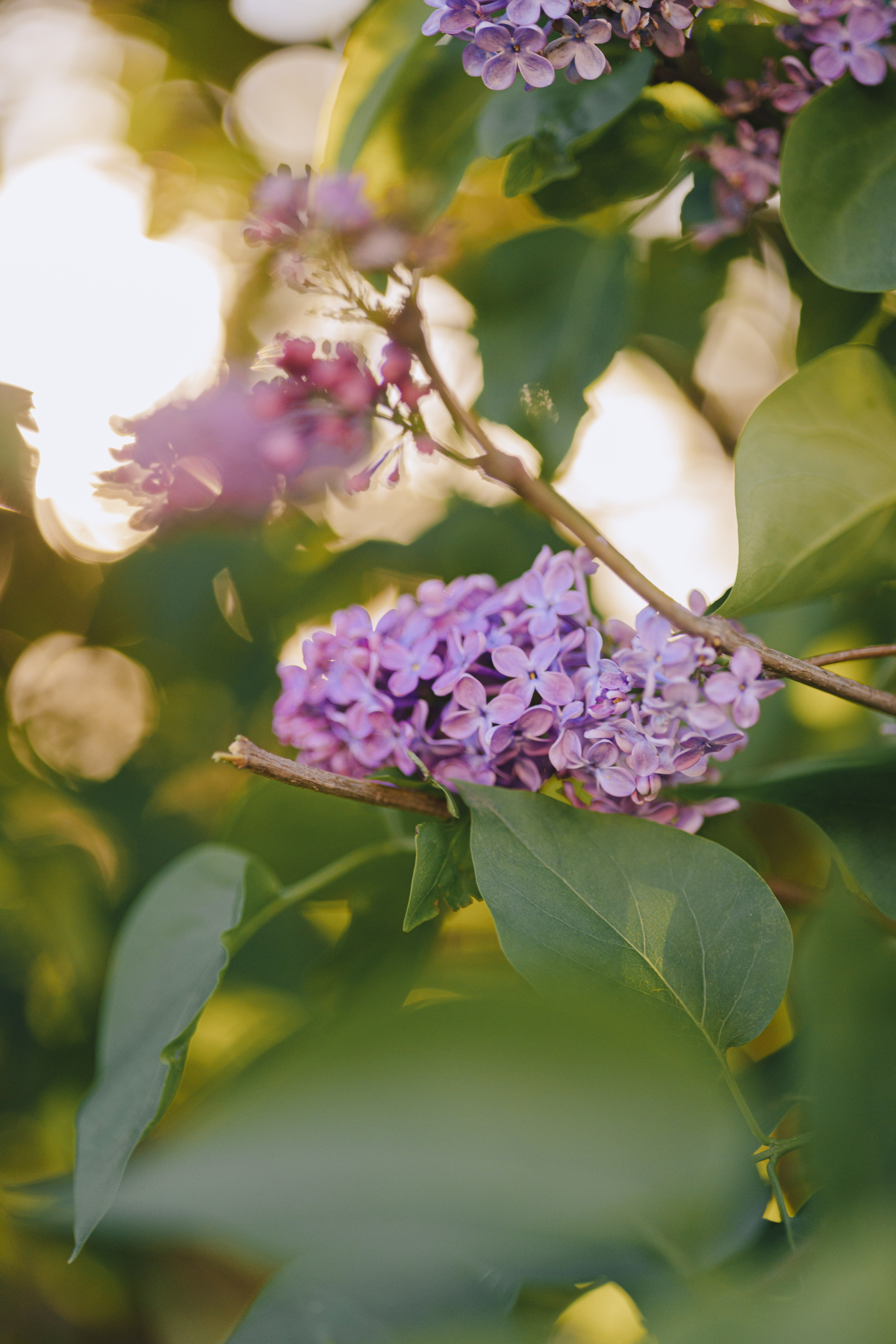 Даша. Фотограф Таганрог Любимая Надя