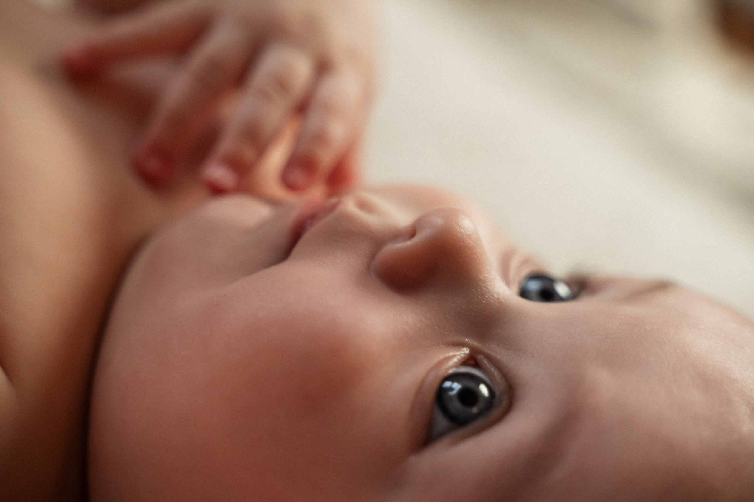 Семья Насоновых. Фотограф Алина Филимонова Тверь