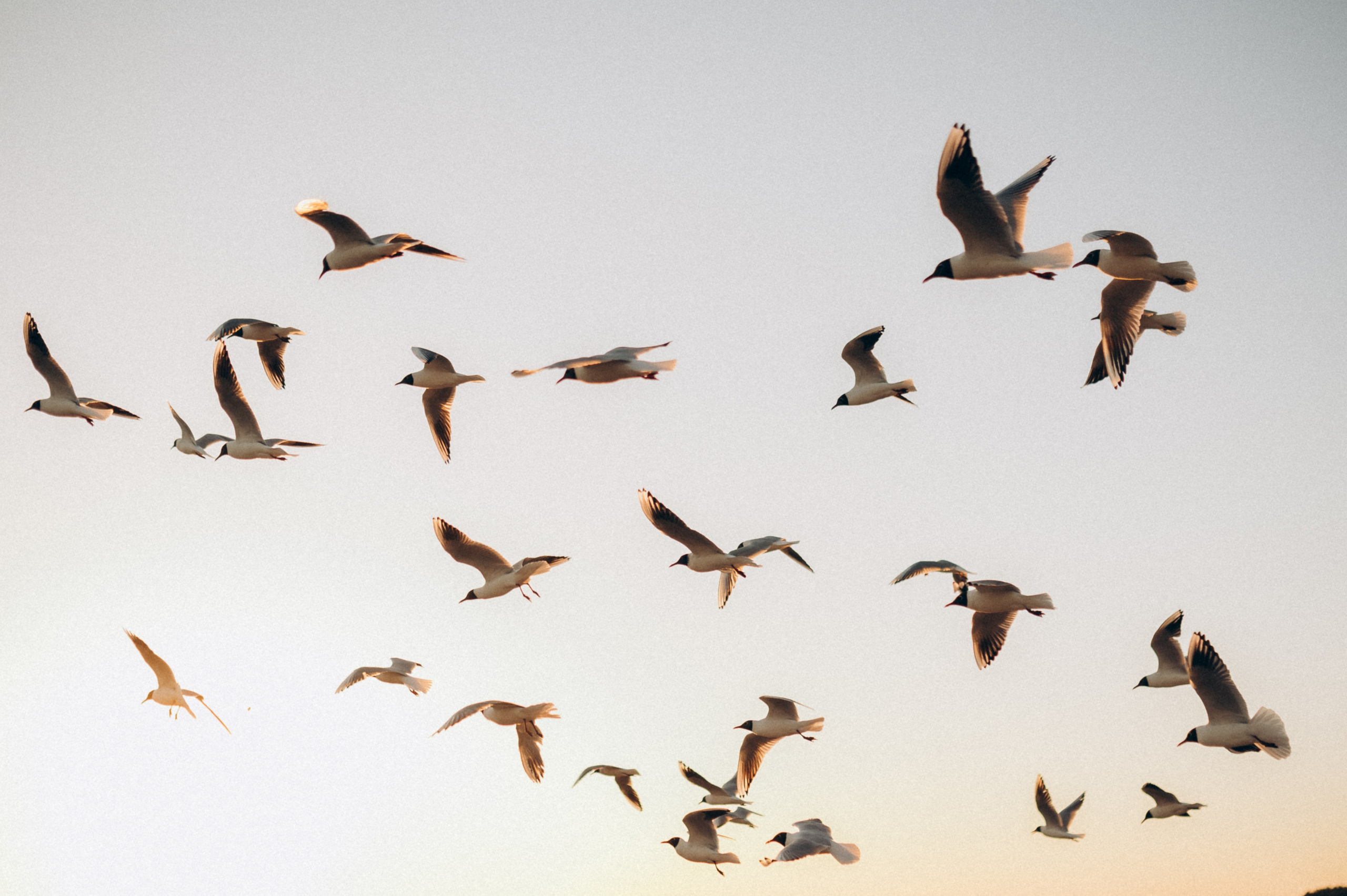 Семейная на заливе. Фотограф ПИТЕР СПБ Надежда Баранова