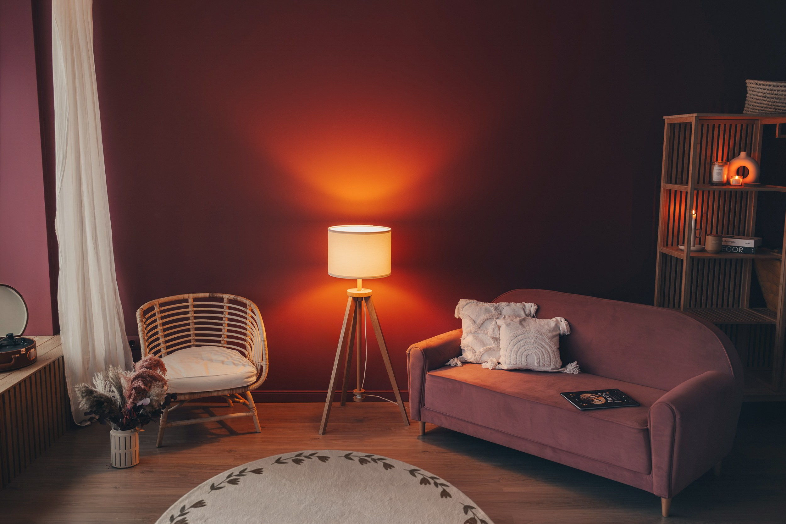 Интерьер фотостудии. Фотограф Евгения Мальцева, Архангельск