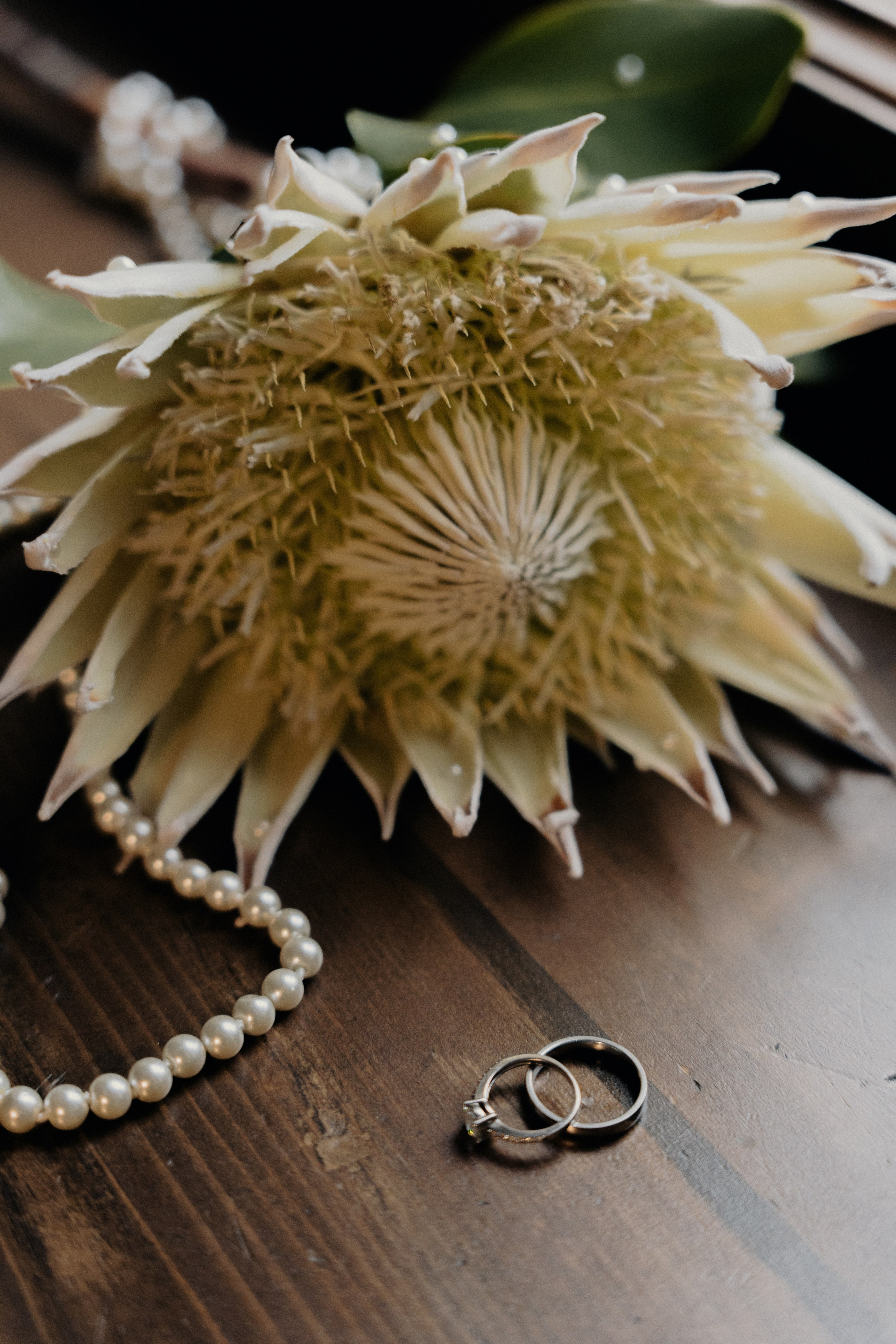 Е 🤍 А. Фотограф в Санкт-Петербурге Федосова Елизавета