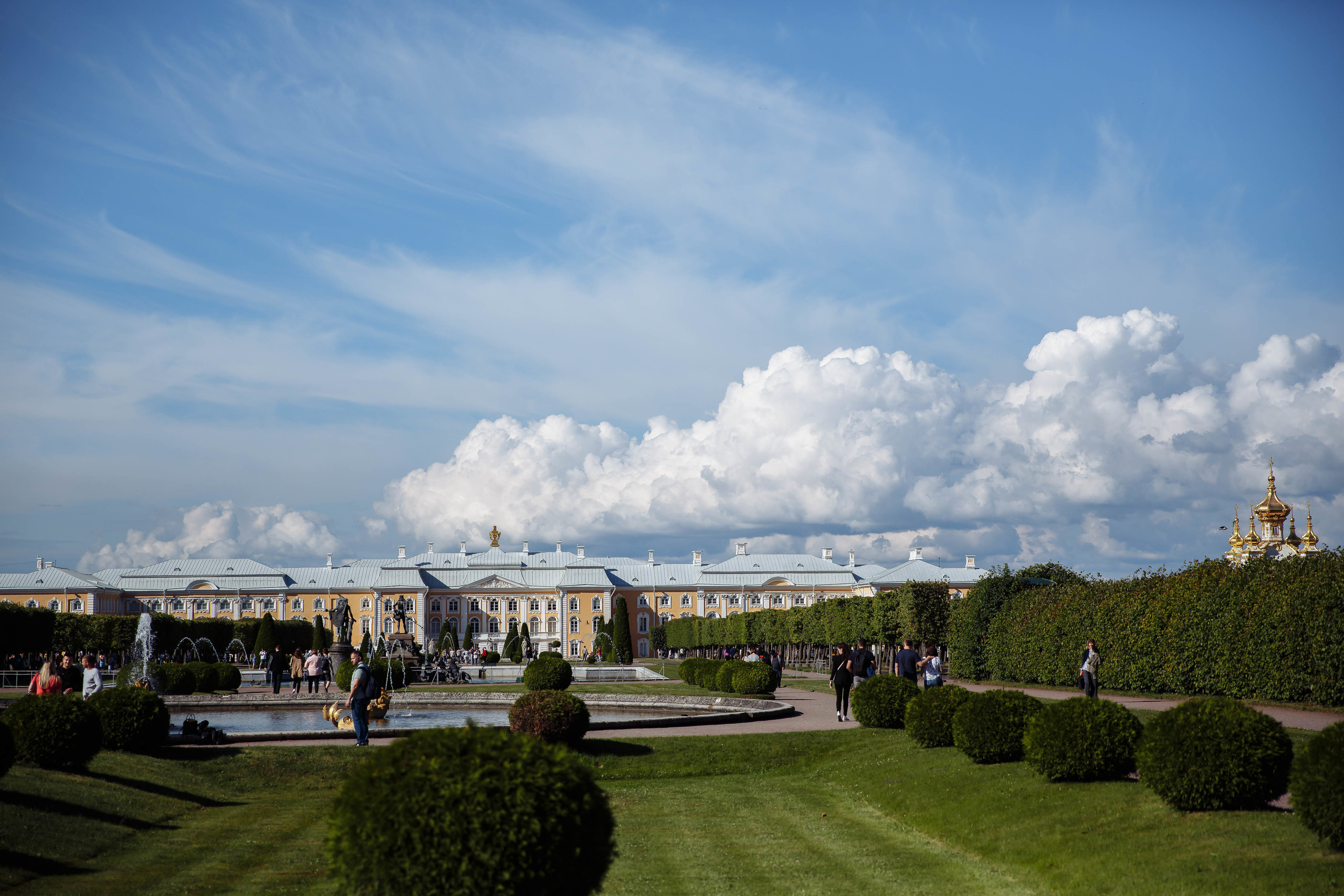 #КОФЕСМОЛОКОМ. Свадебный фотограф Юлия Шторм