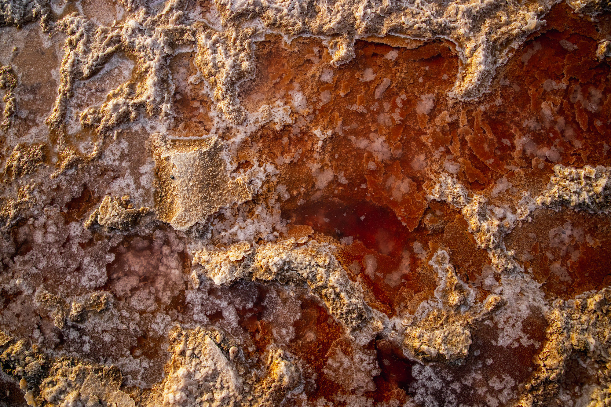 Путешествие в Крым. Фотограф в Ростове-на-Дону