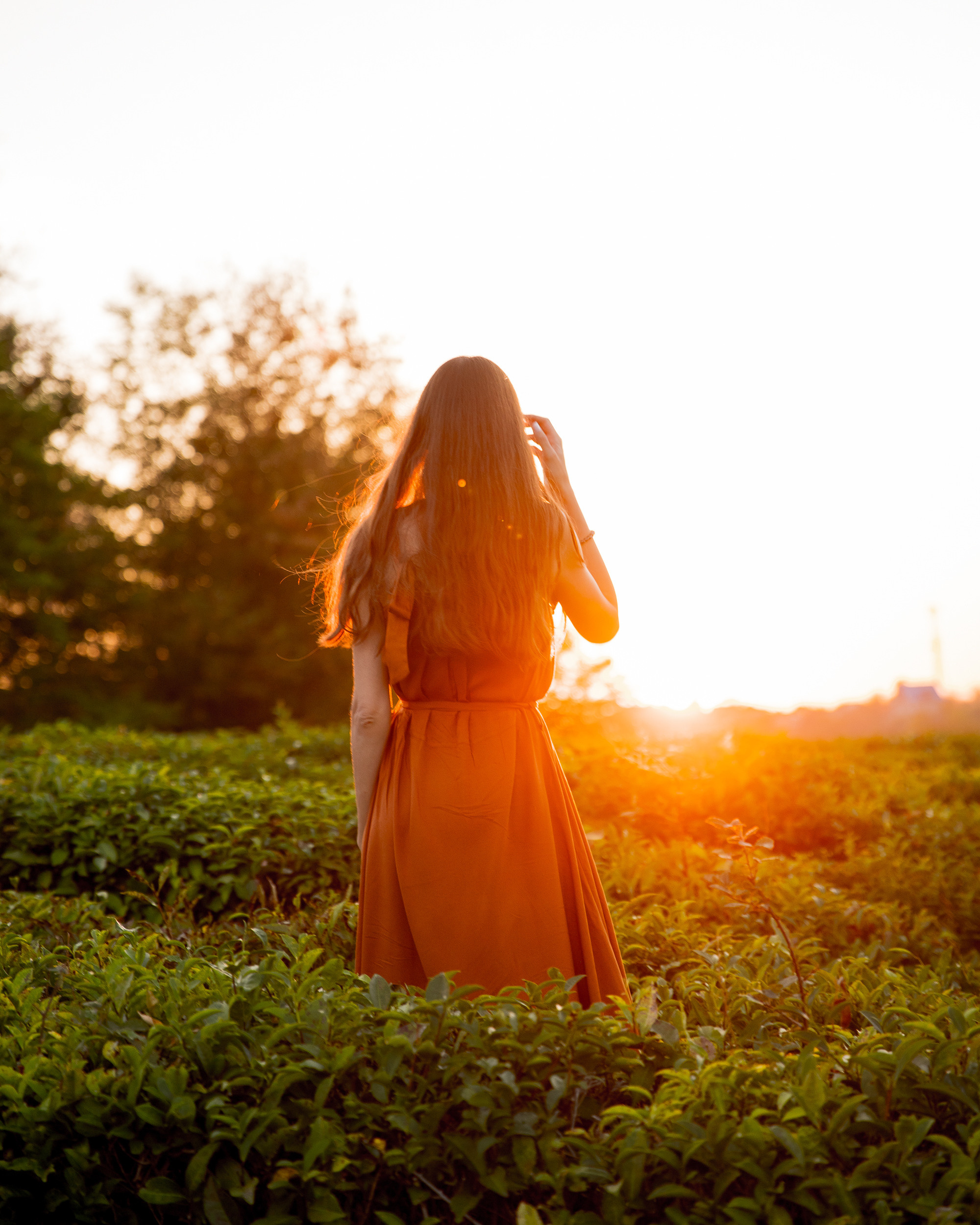 Чайные плантации. Фотограф в Ростове-на-Дону